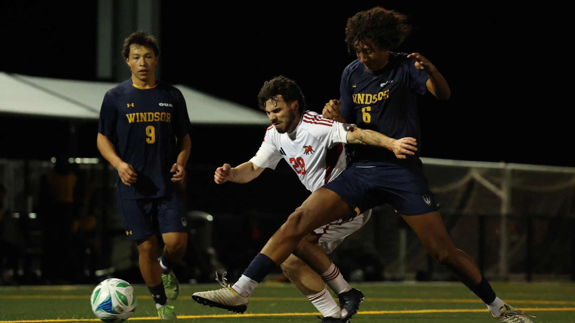 Juliano Campedelli vs Windsor