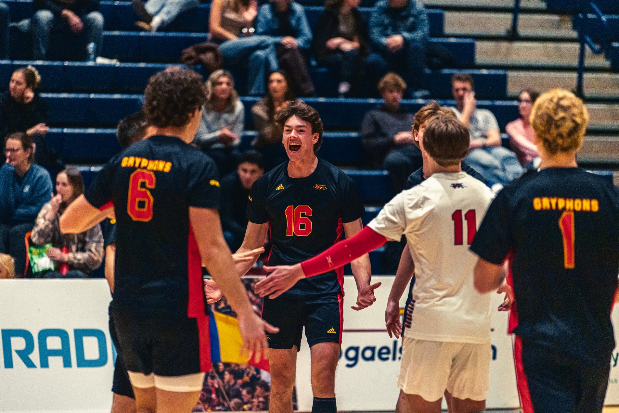 Killian Donovan celebrates vs Queen's