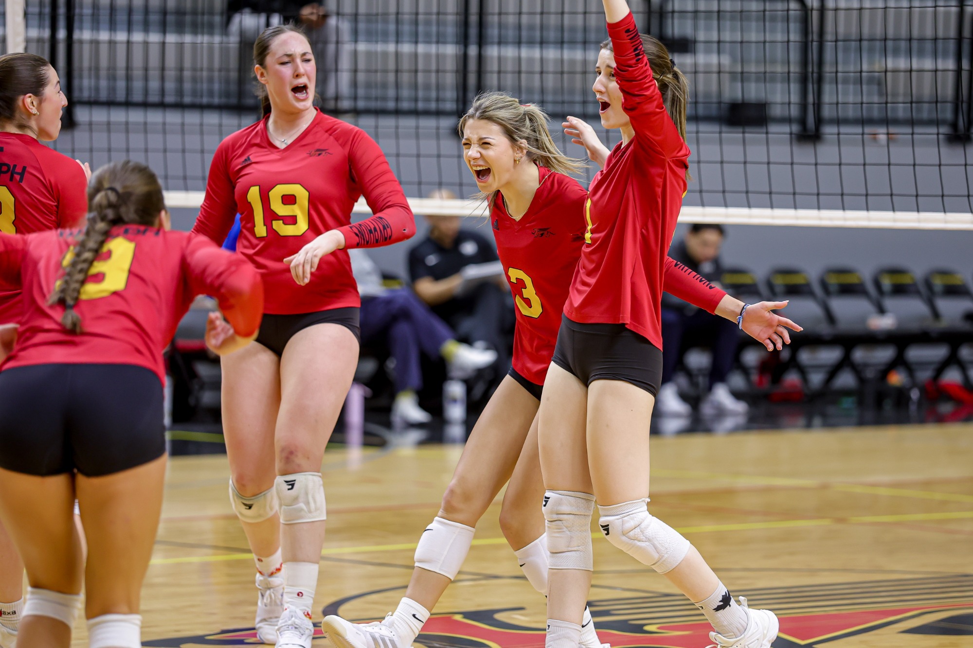 Gryphons women's volleyball celebrates a point vs TMU