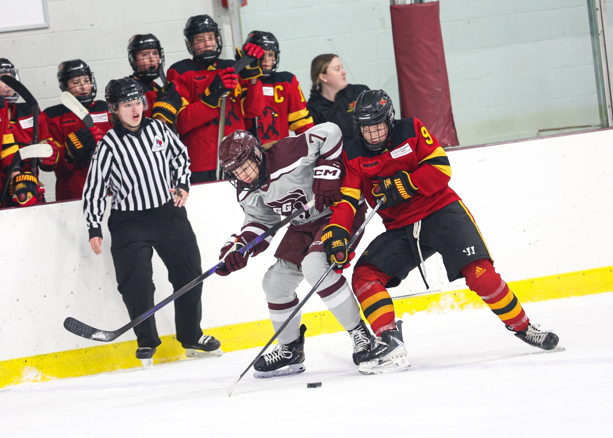 Gryphons women's hockey at Ottawa Gee-Gees
