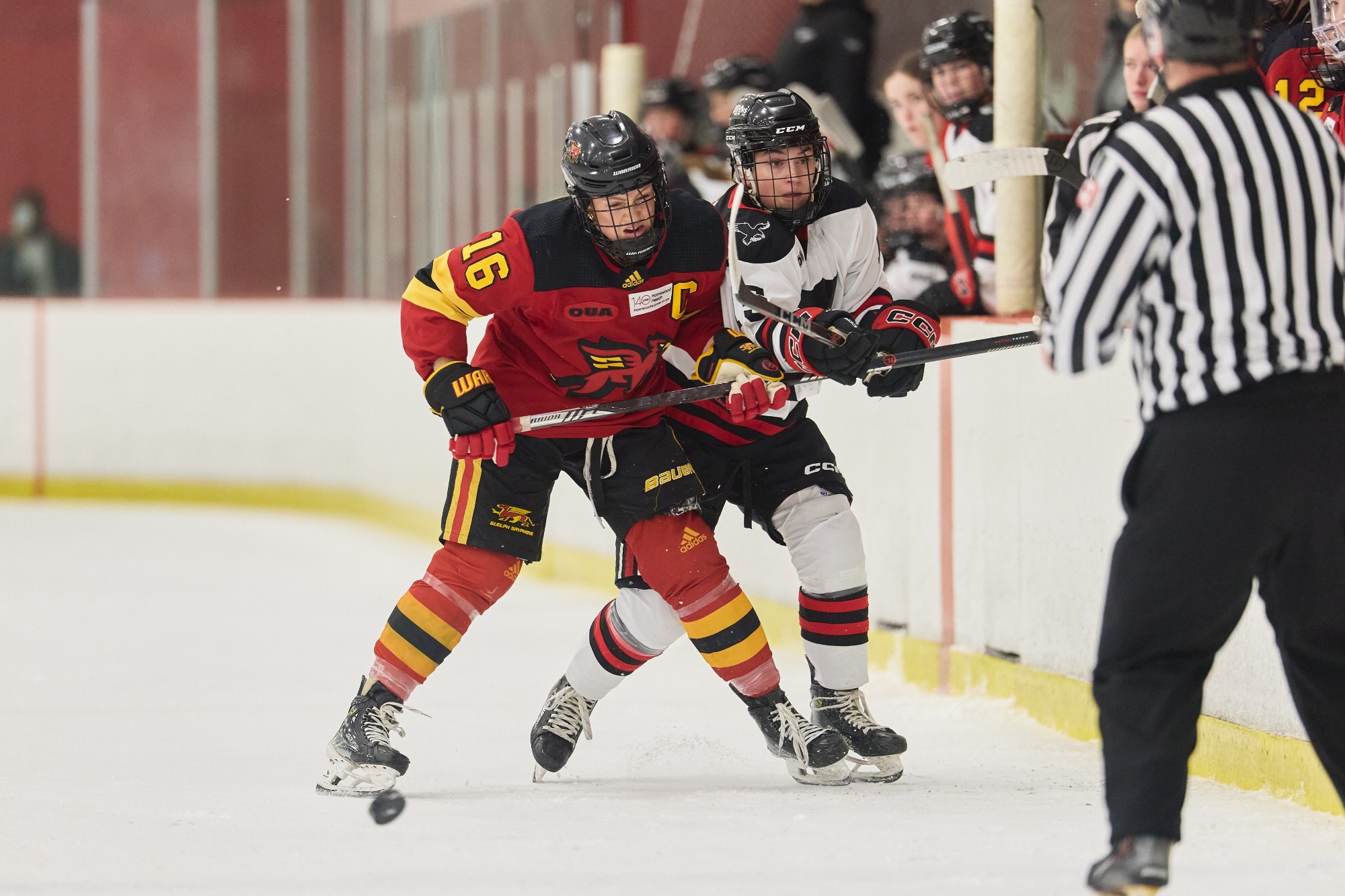 Jadyn Calder at Carleton