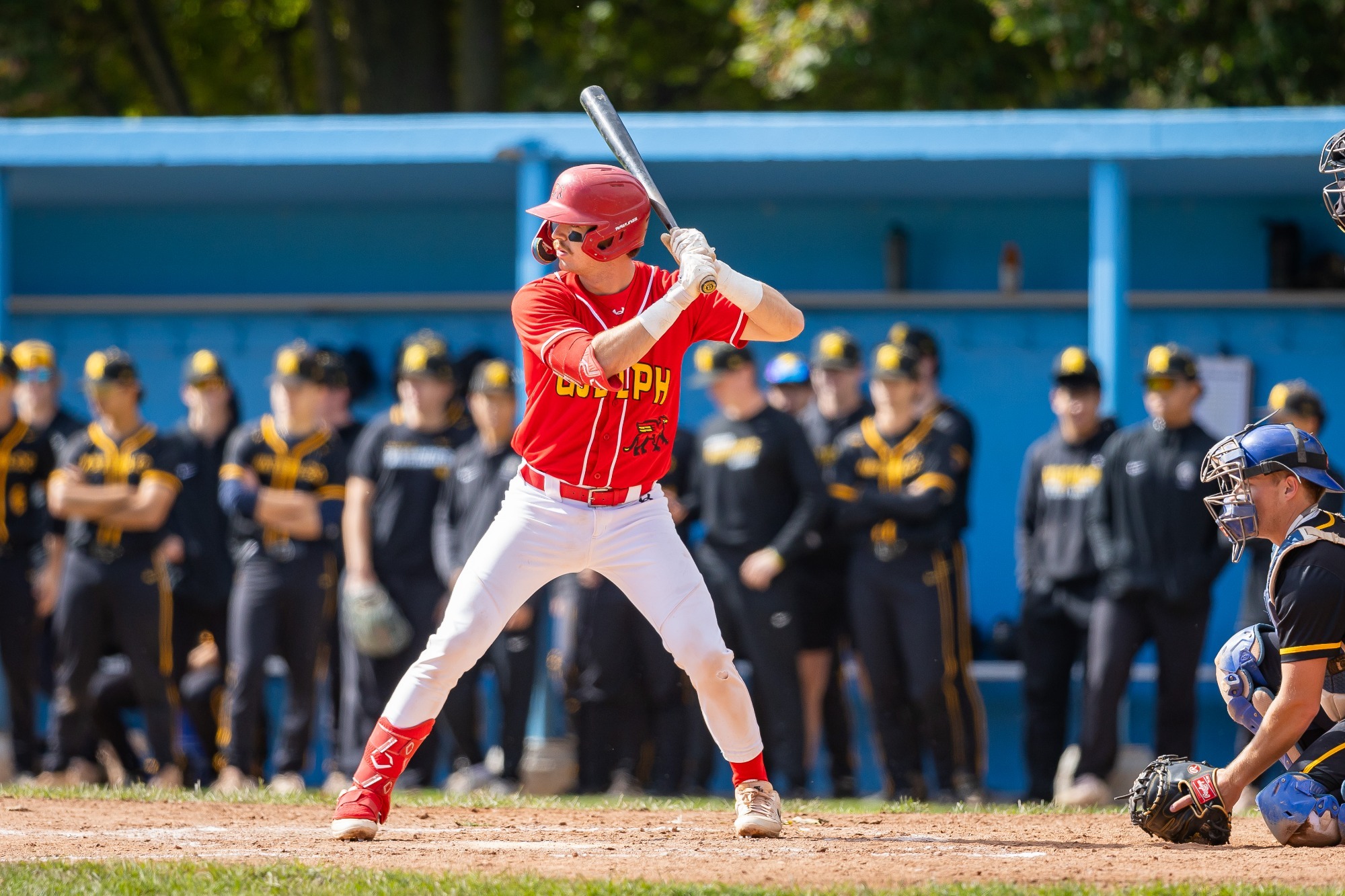 Gryphons baseball vs Waterloo