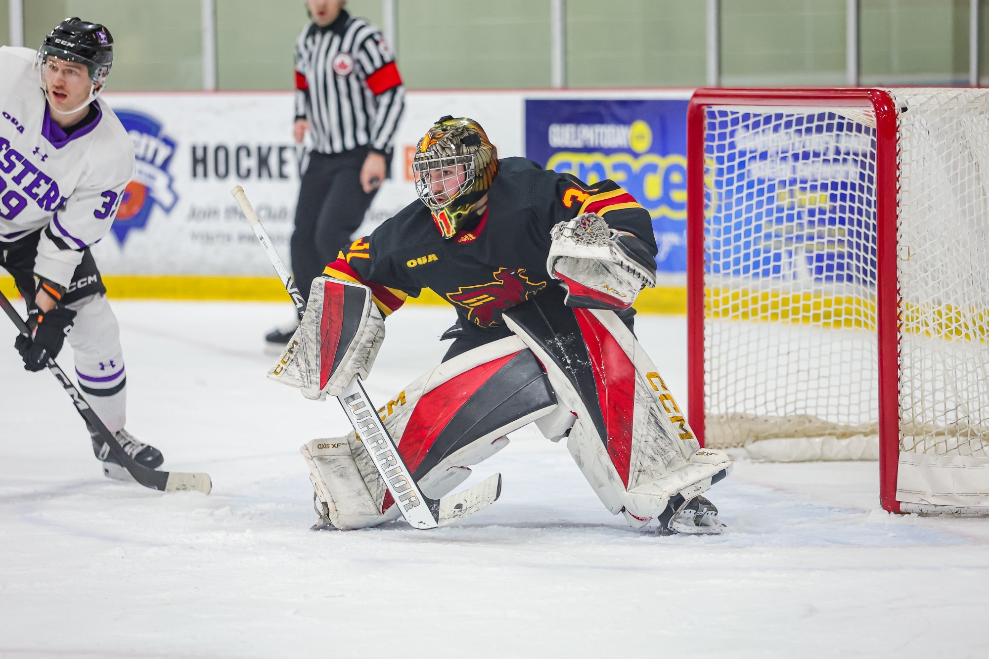 Olivier Ciarlo vs Western