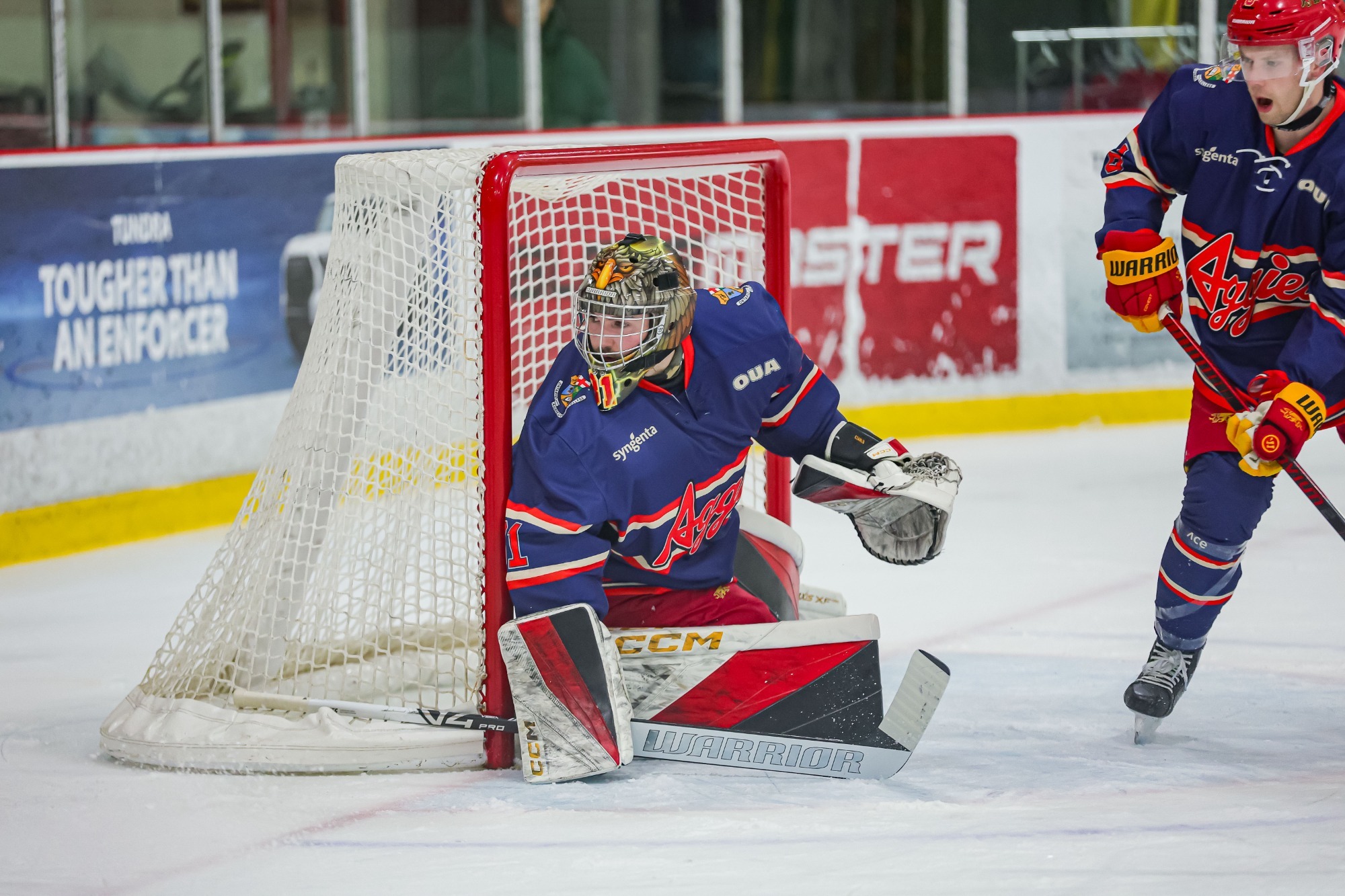 Olivier Ciarlo vs TMU