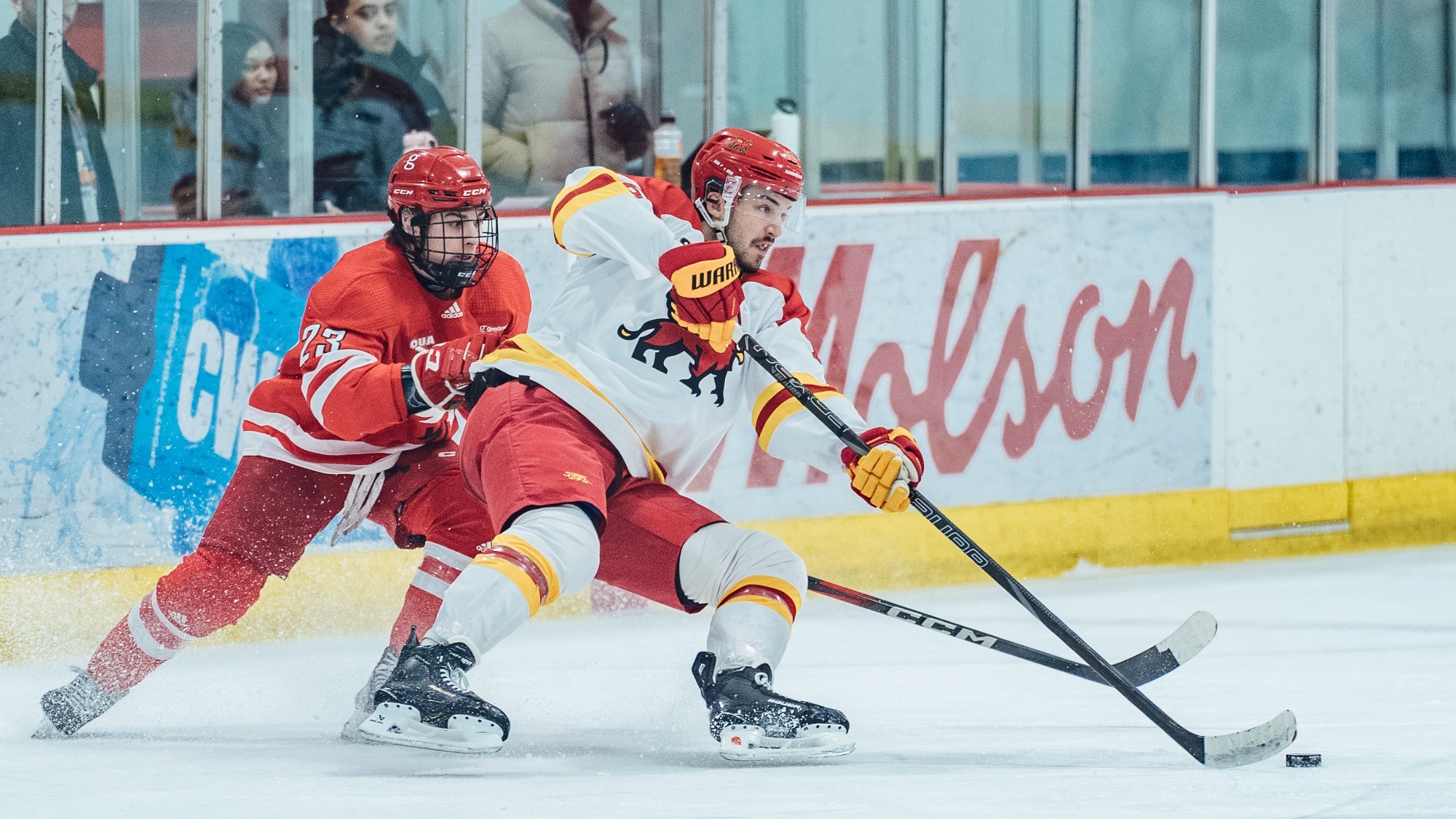 Gryphons men's hockey at York