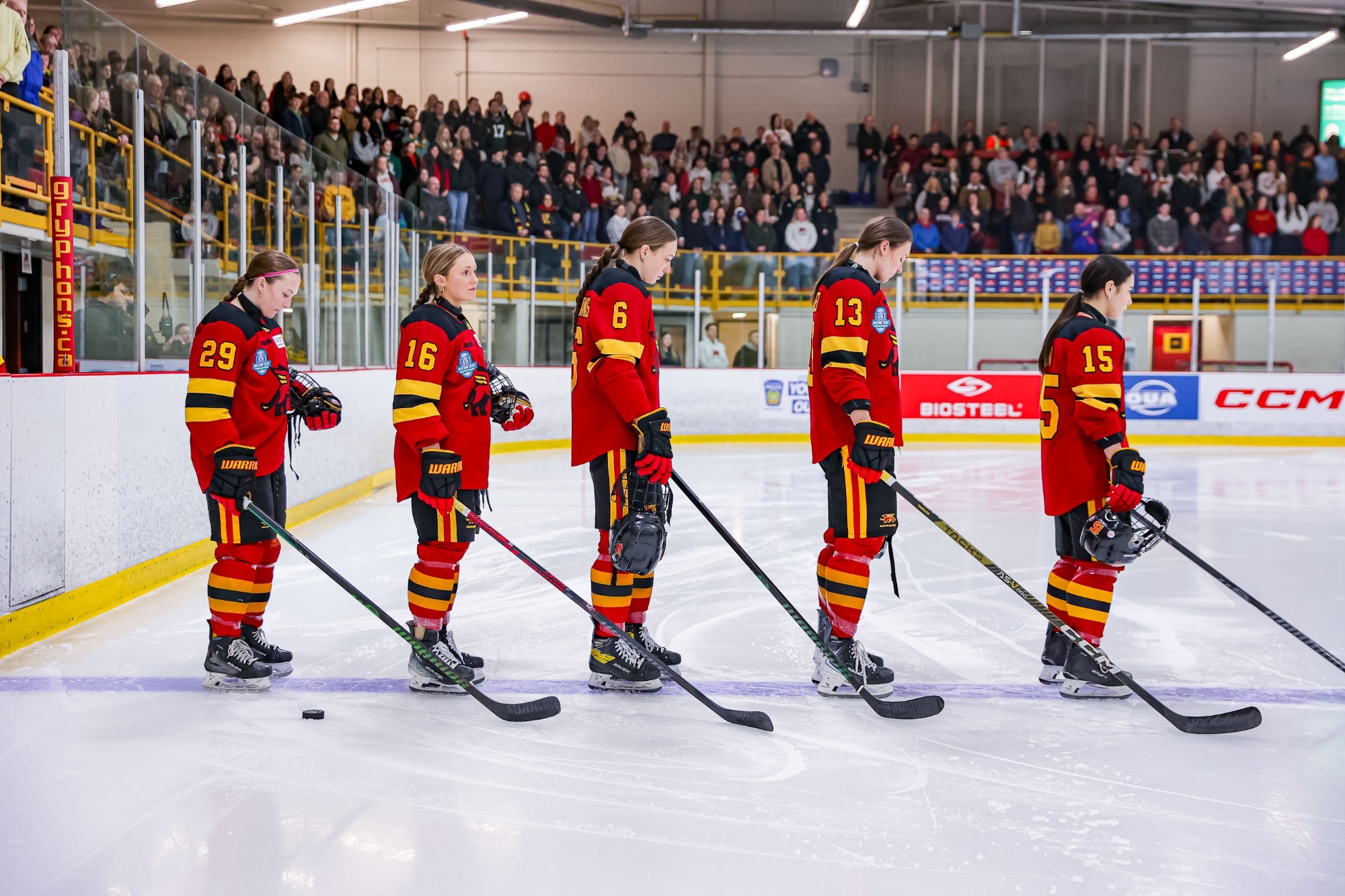 Gryphons women's hockey line up for pre game anthem prior to 2026 McCaw Cup