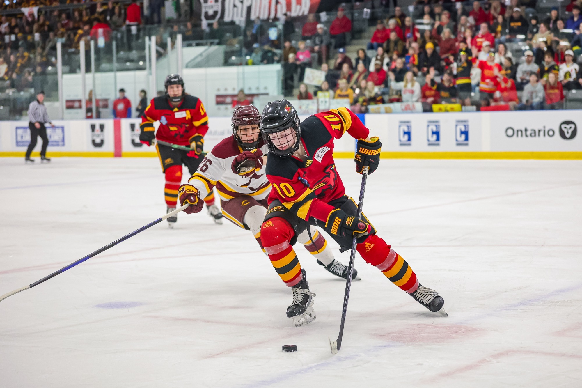 Avery Robinson vs Concordia