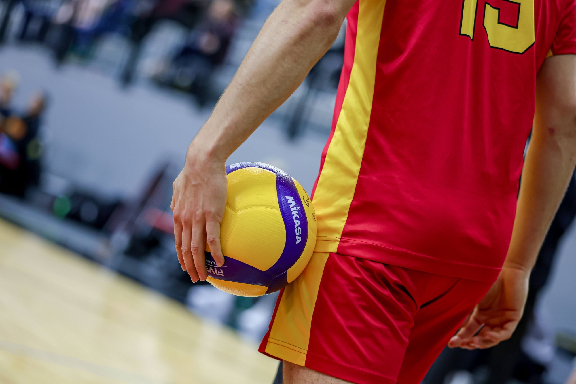 stock image, volleyball