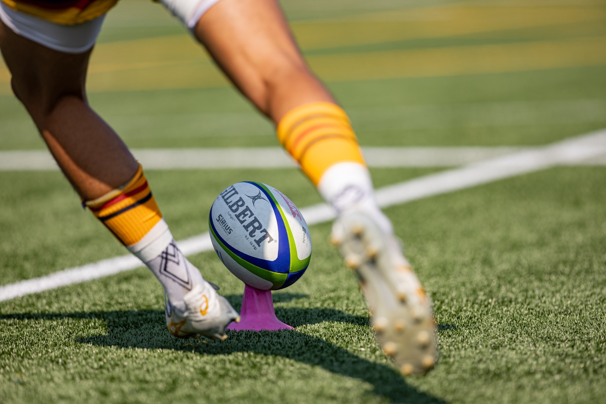 stock image, rugby