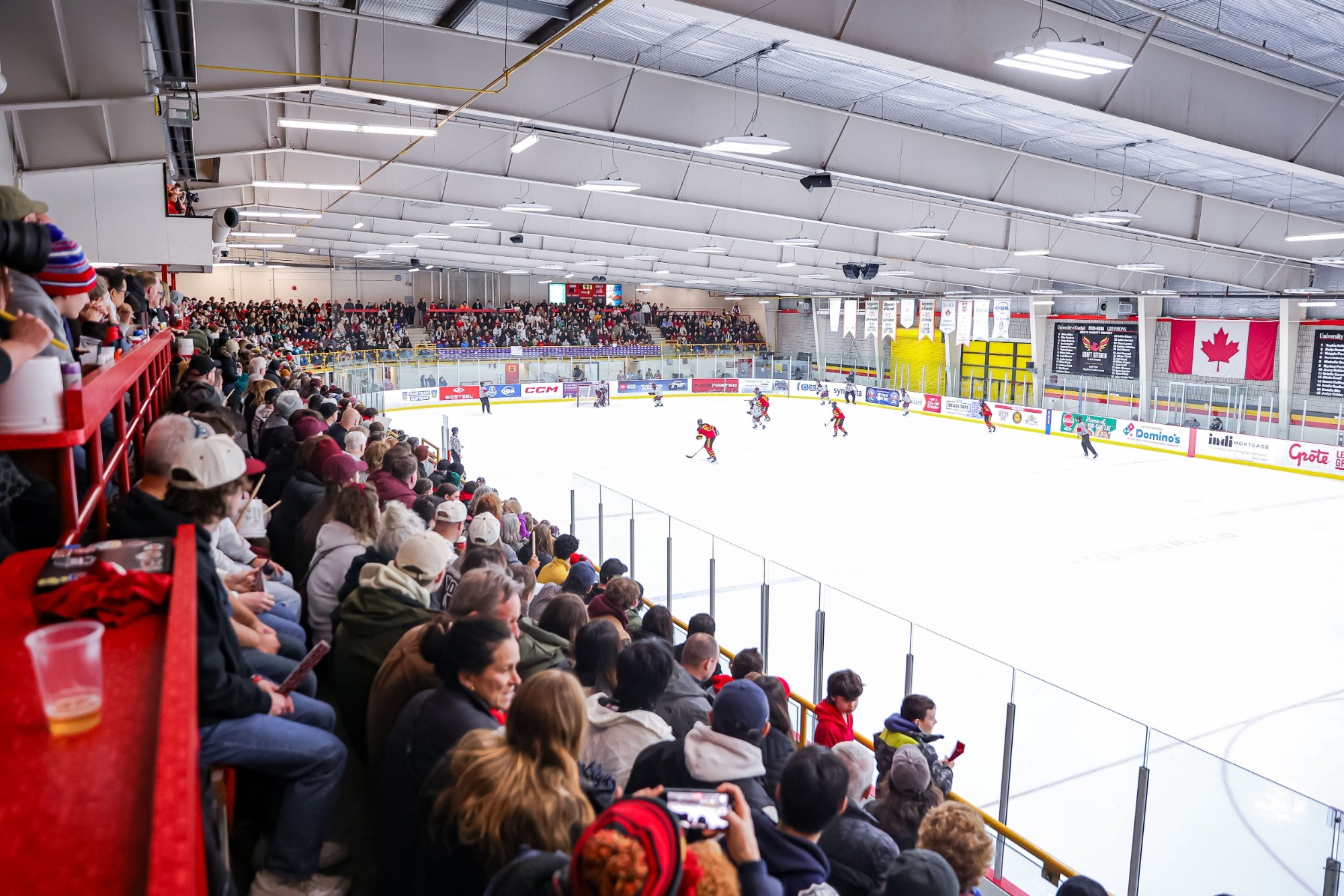 Gryphon Centre Arena