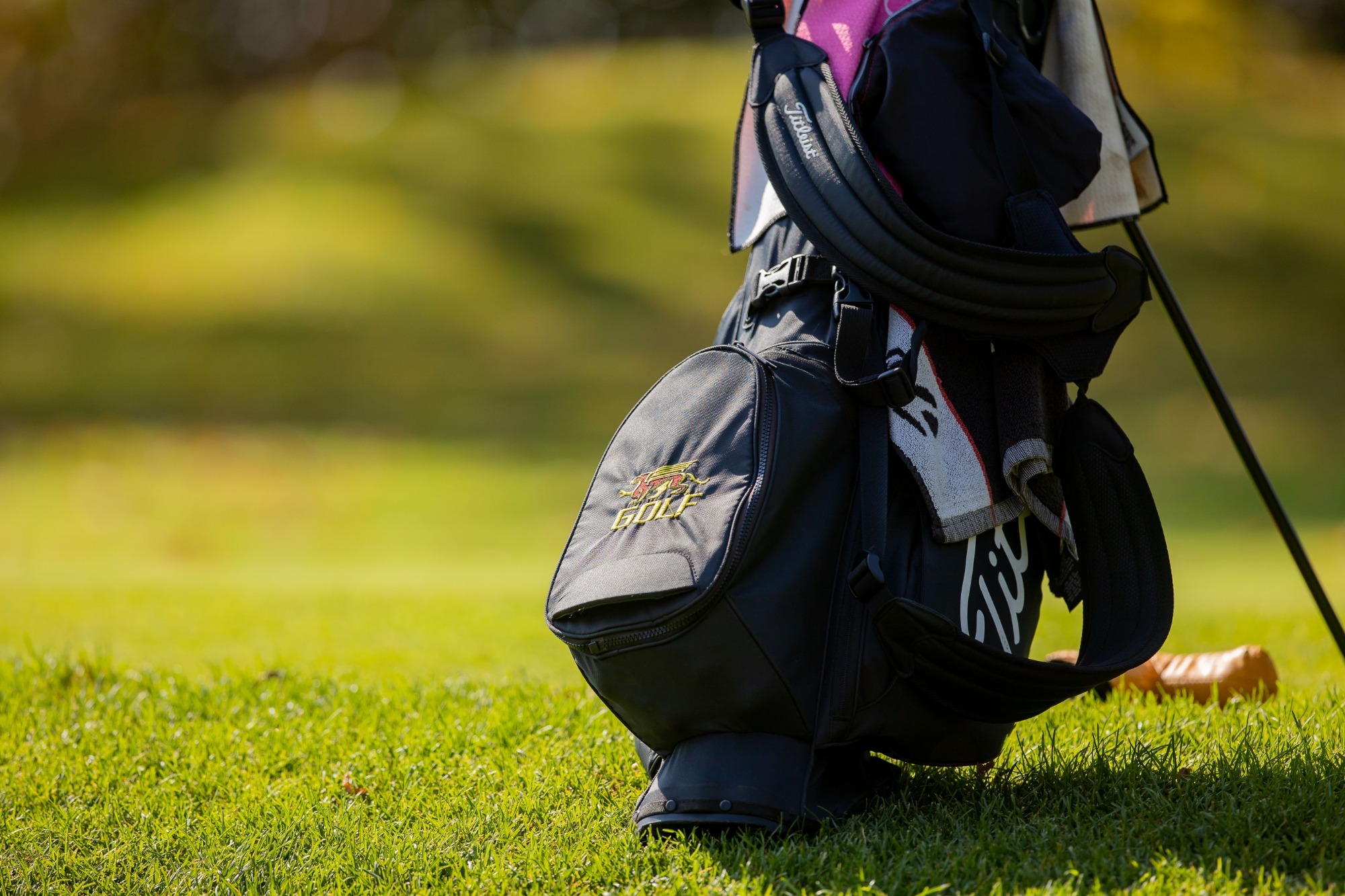 Guelph Gryphons golf bag