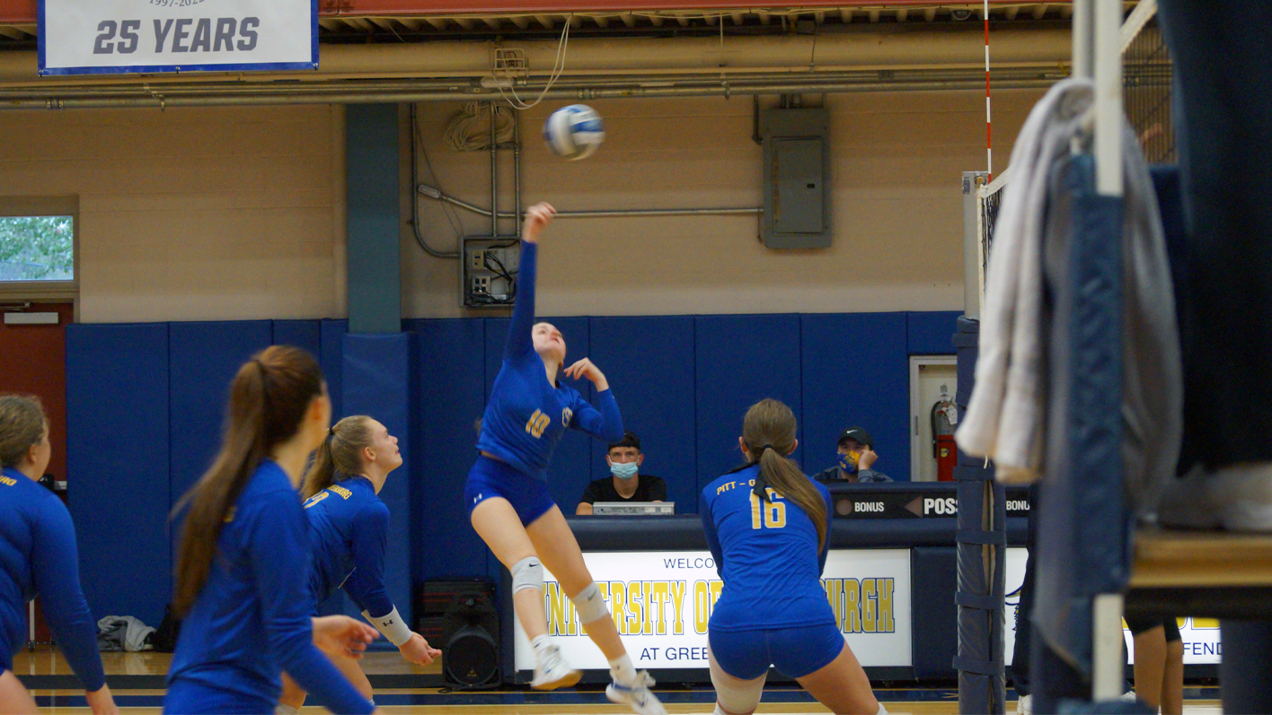 Madison Martin Women's Volleyball University of Pittsburgh