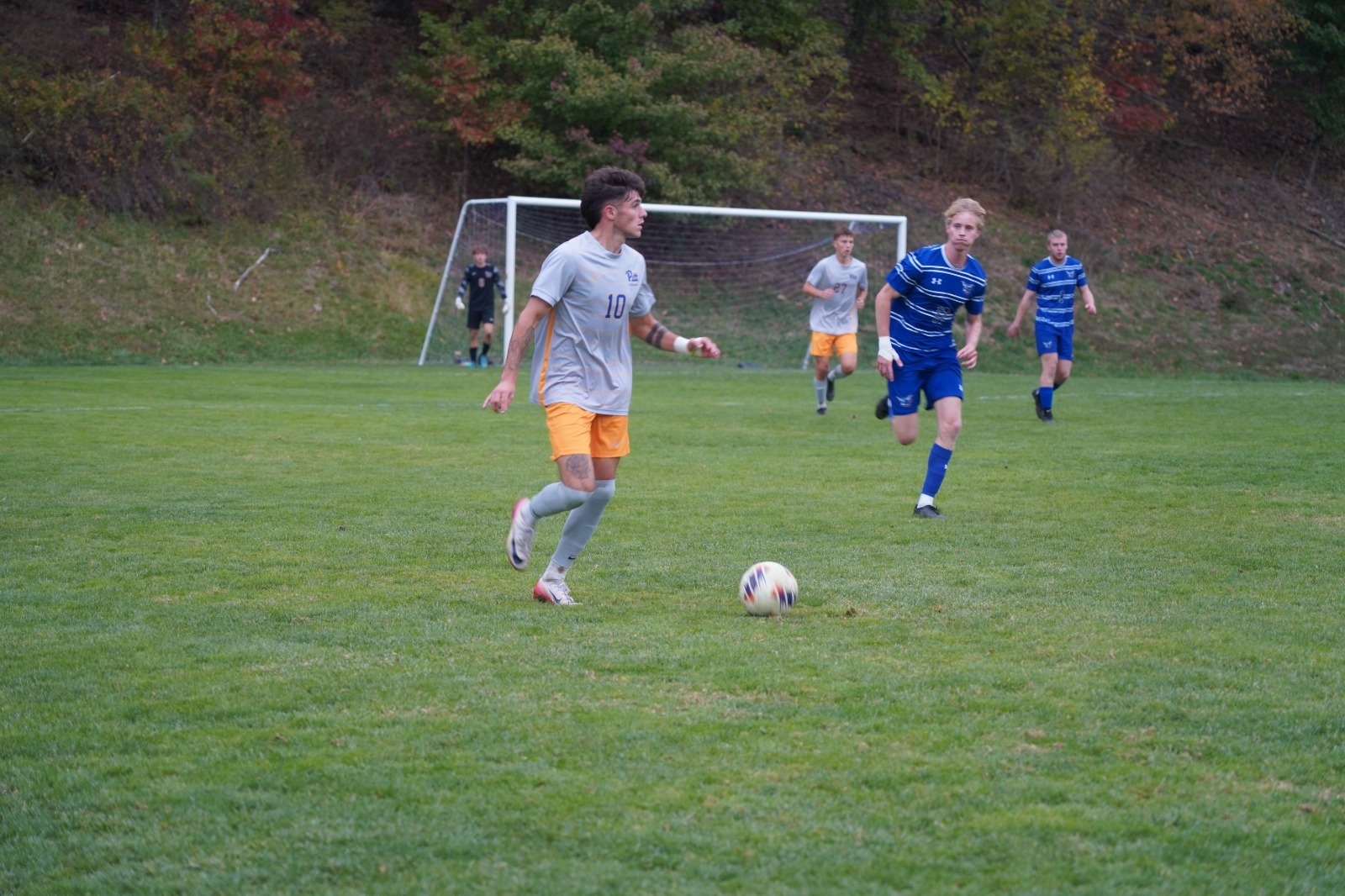 matt dribble