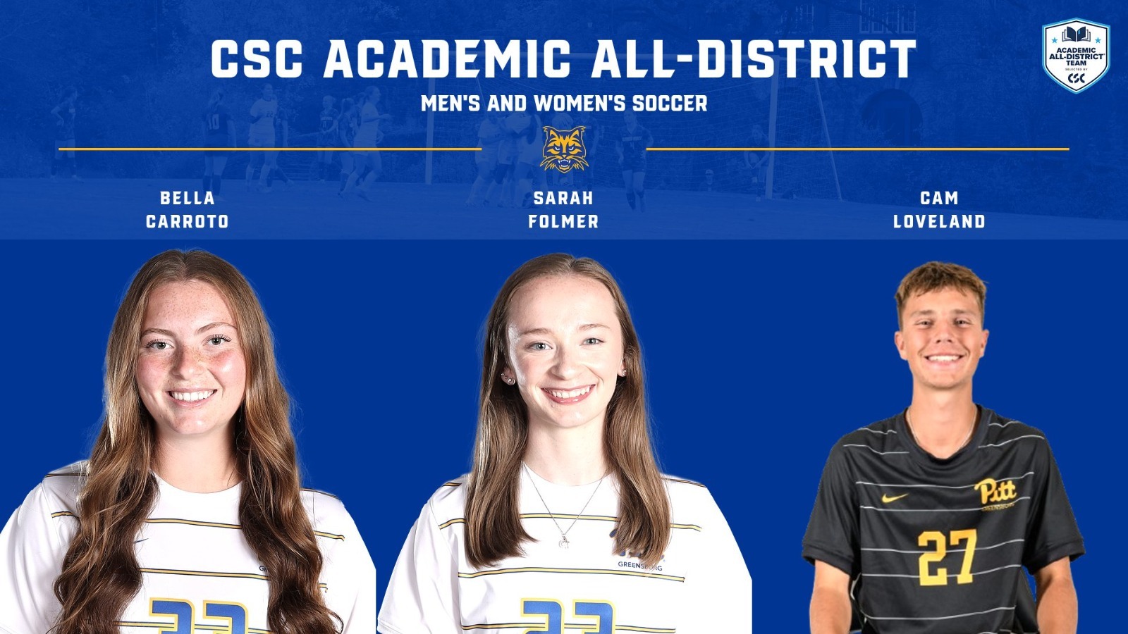 csc all district