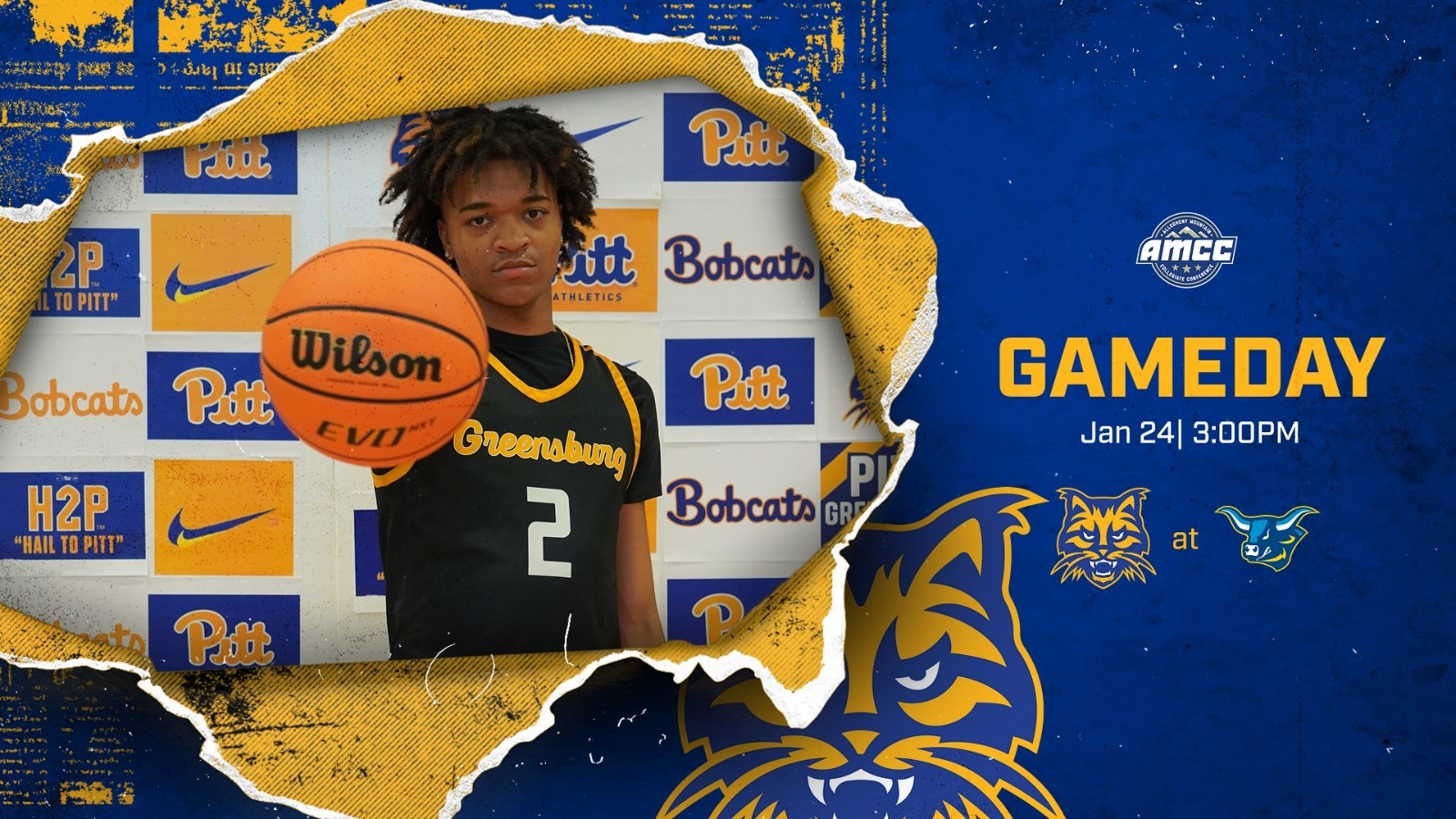 mbb at alfred preview