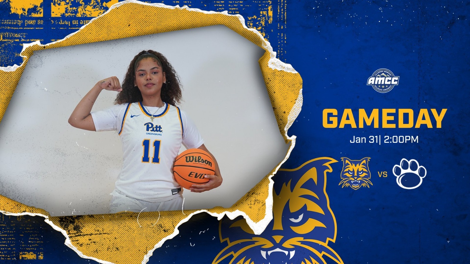 wbb vs behrend preview