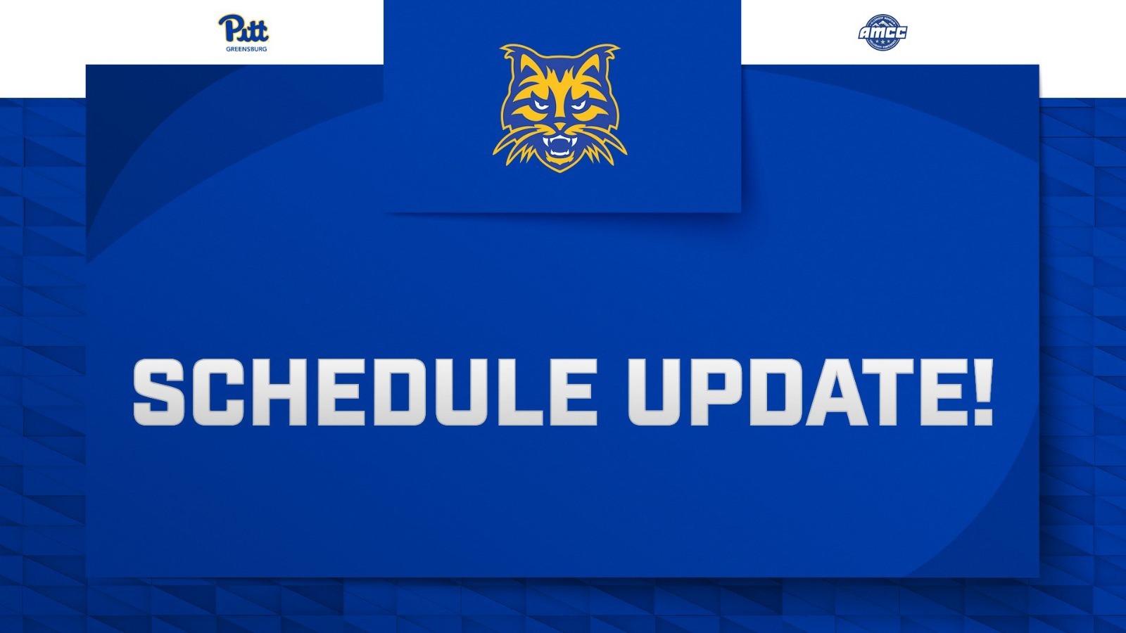schedule update
