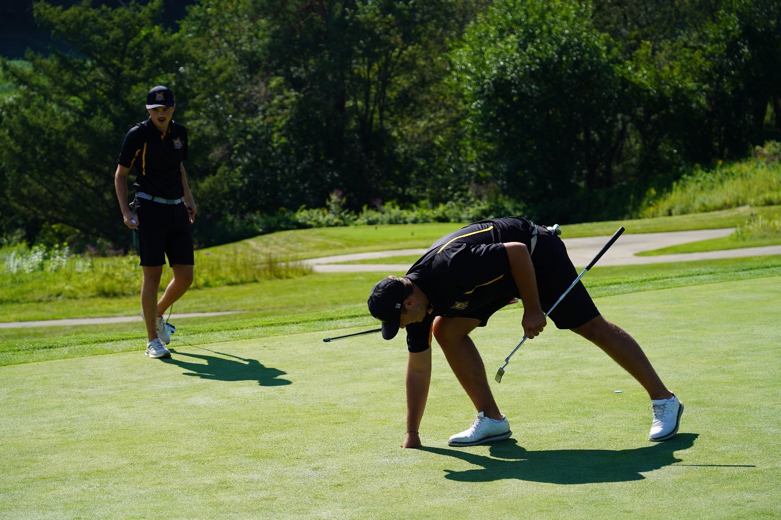 Golf getting ball