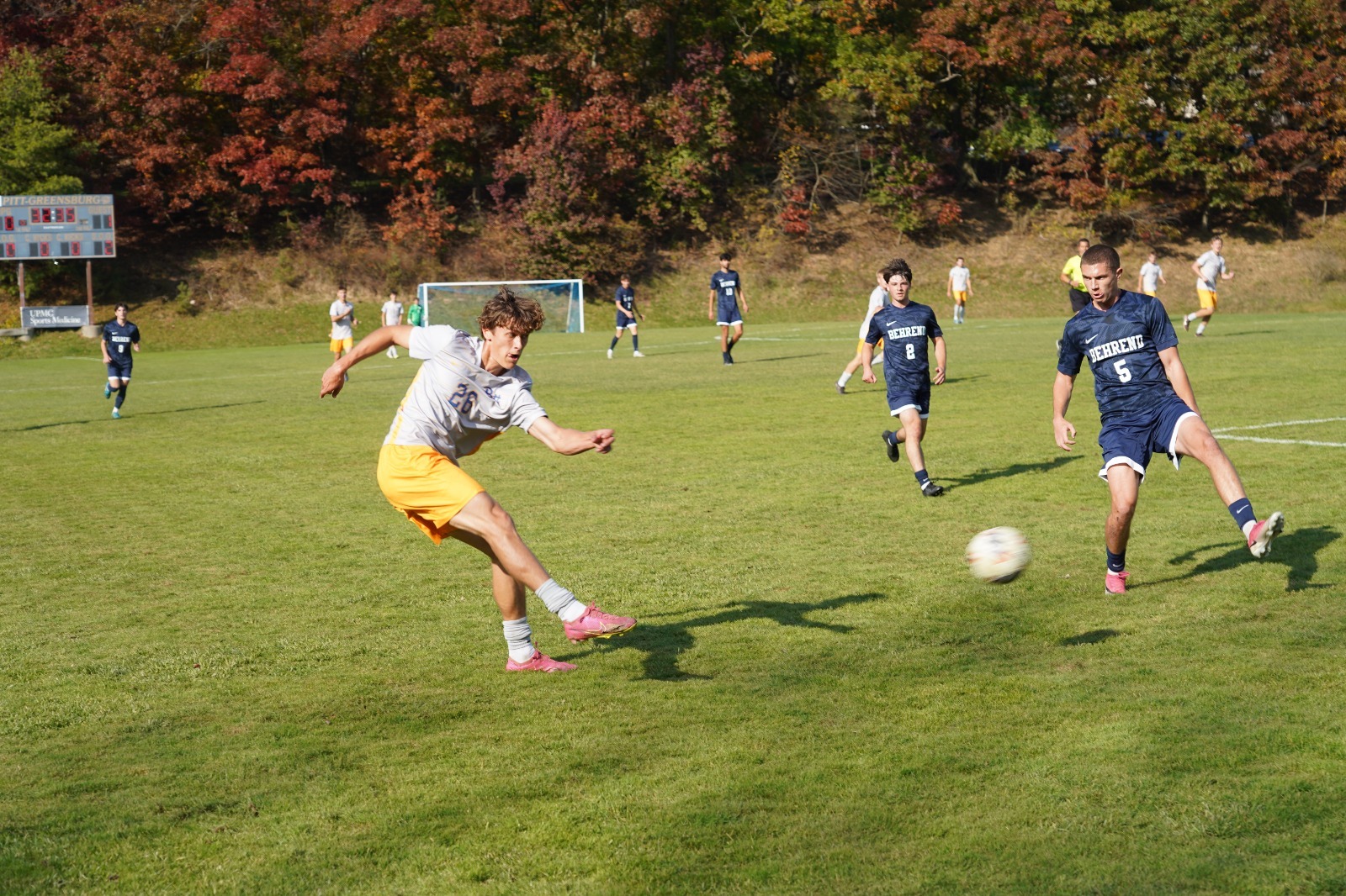 cooper vs behrend