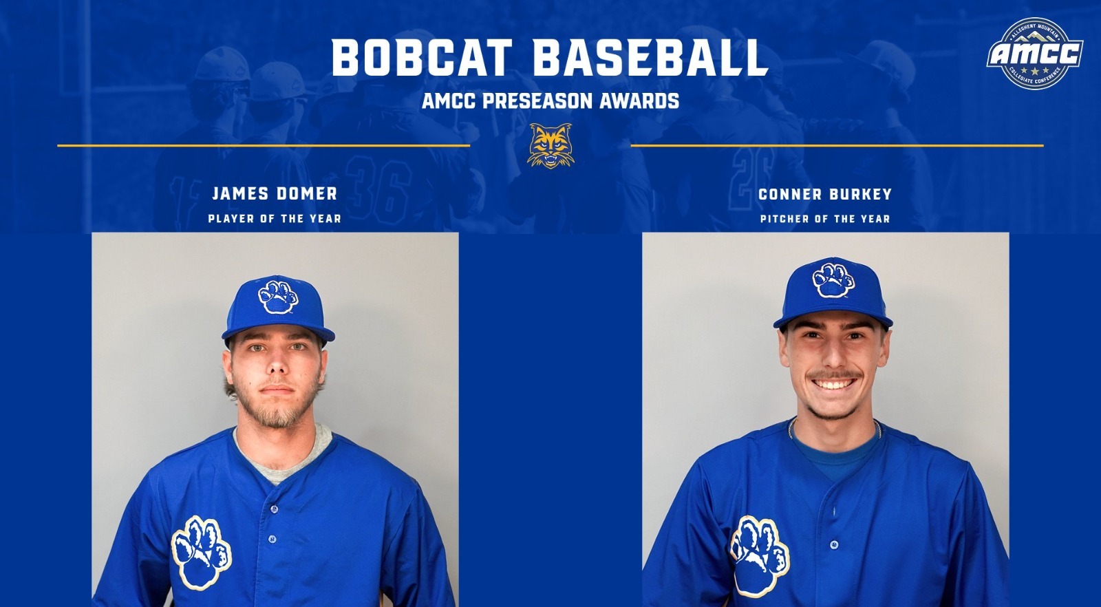 baseball preseason awards