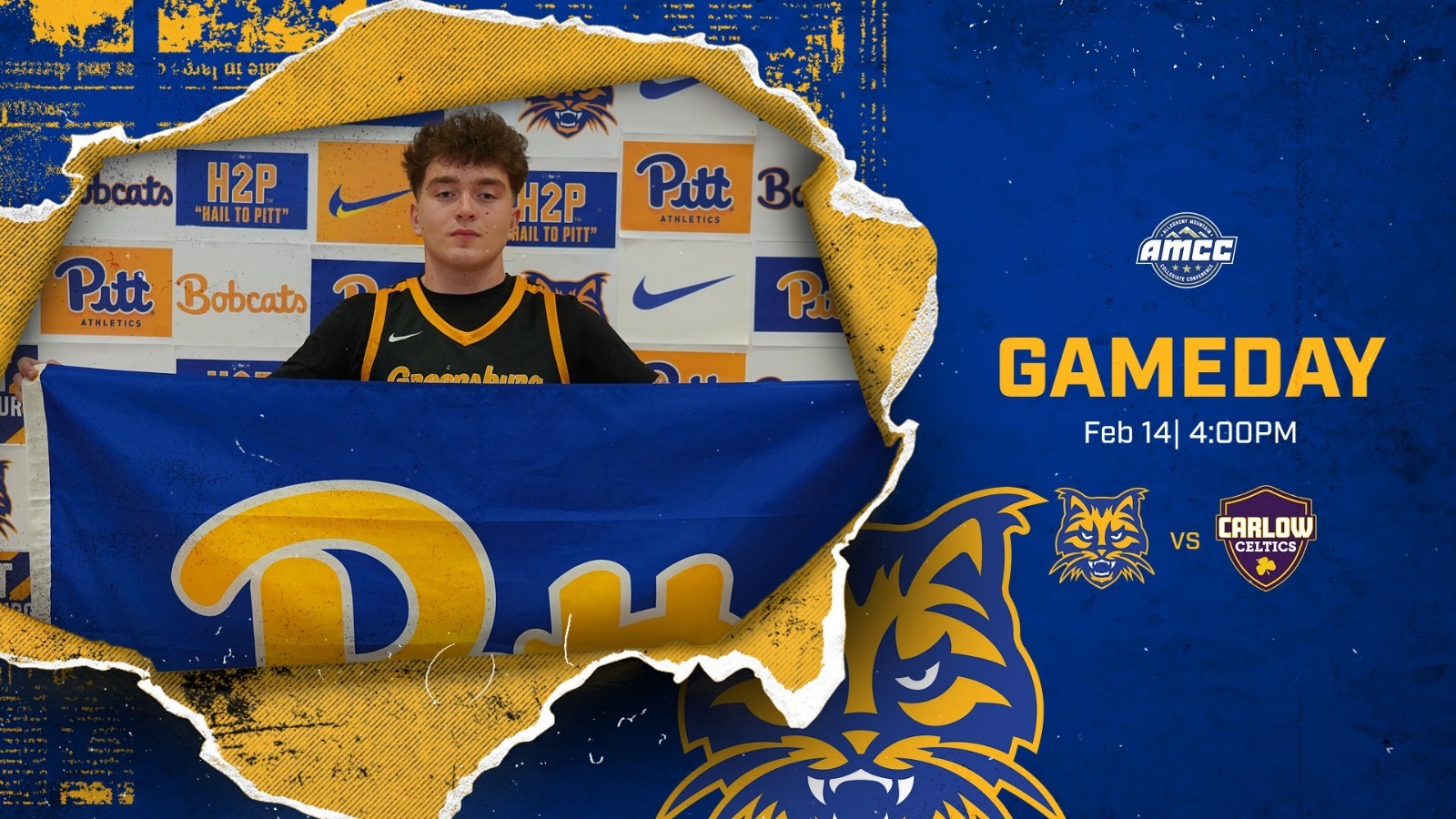 mbb vs carlow preview