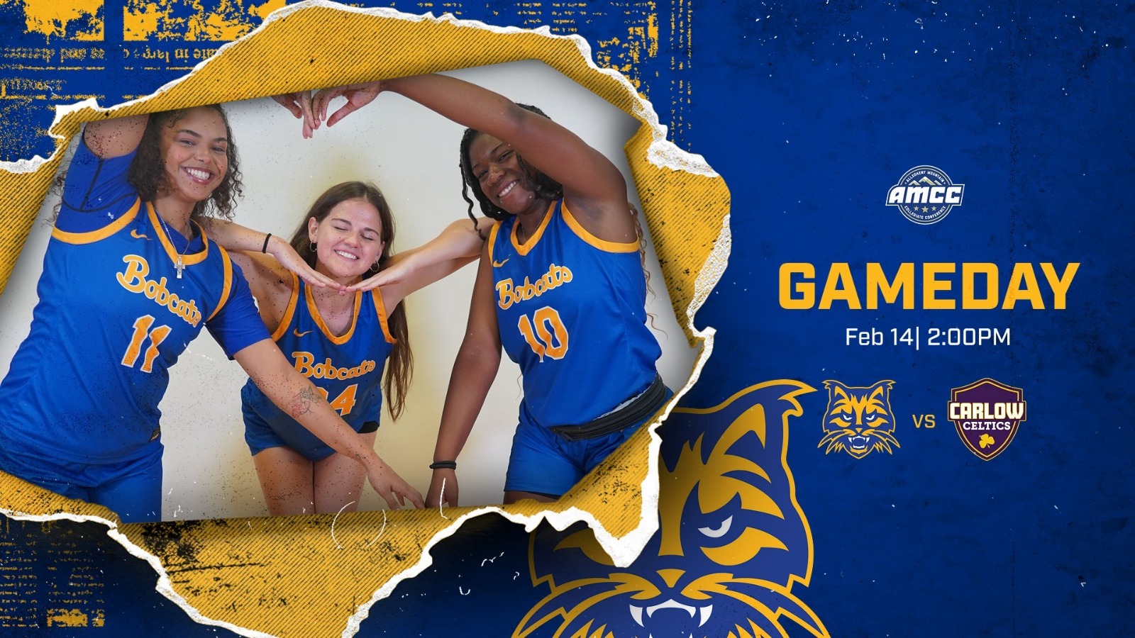 wbb vs carlow preview