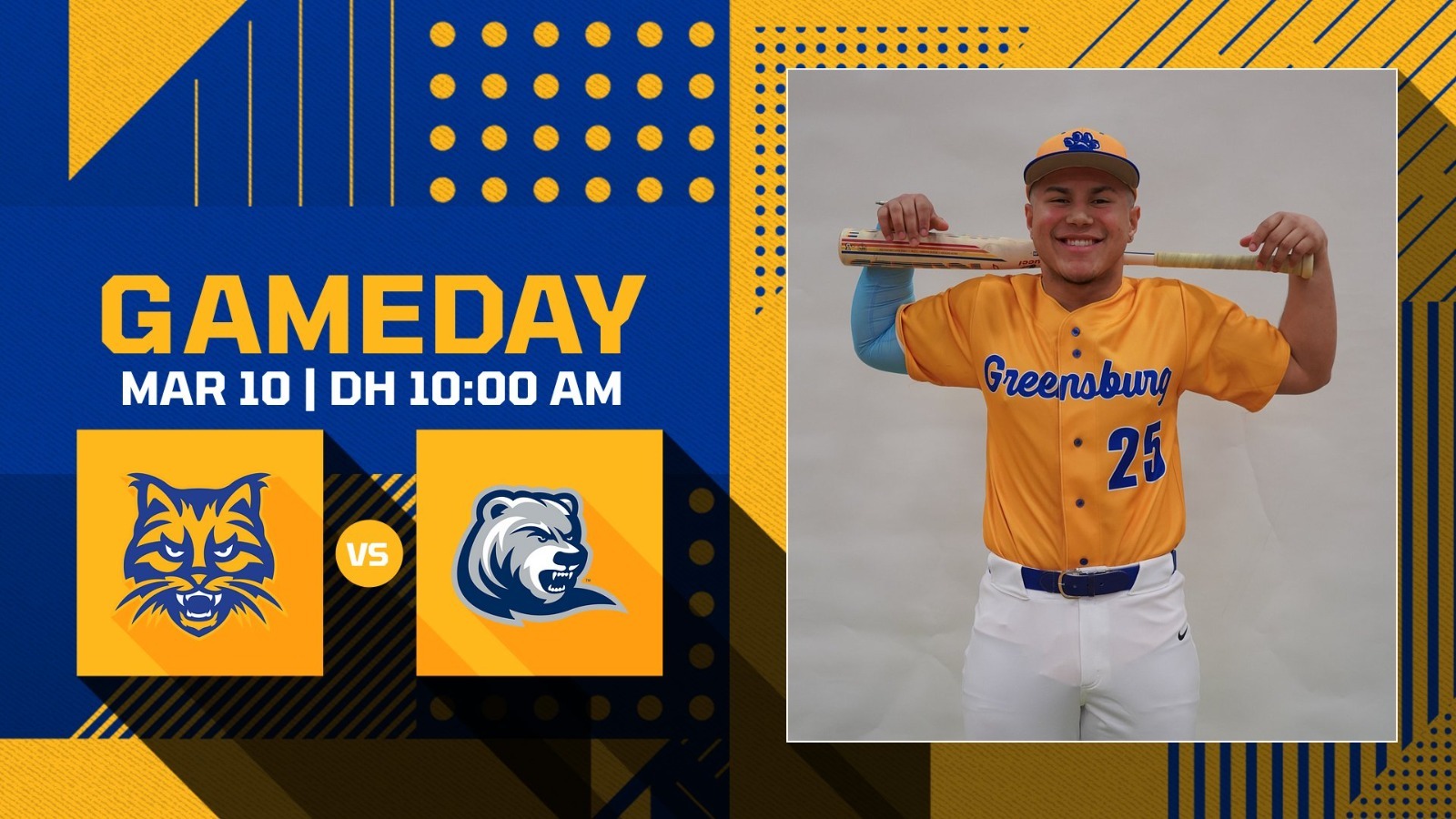 baseball drew preview