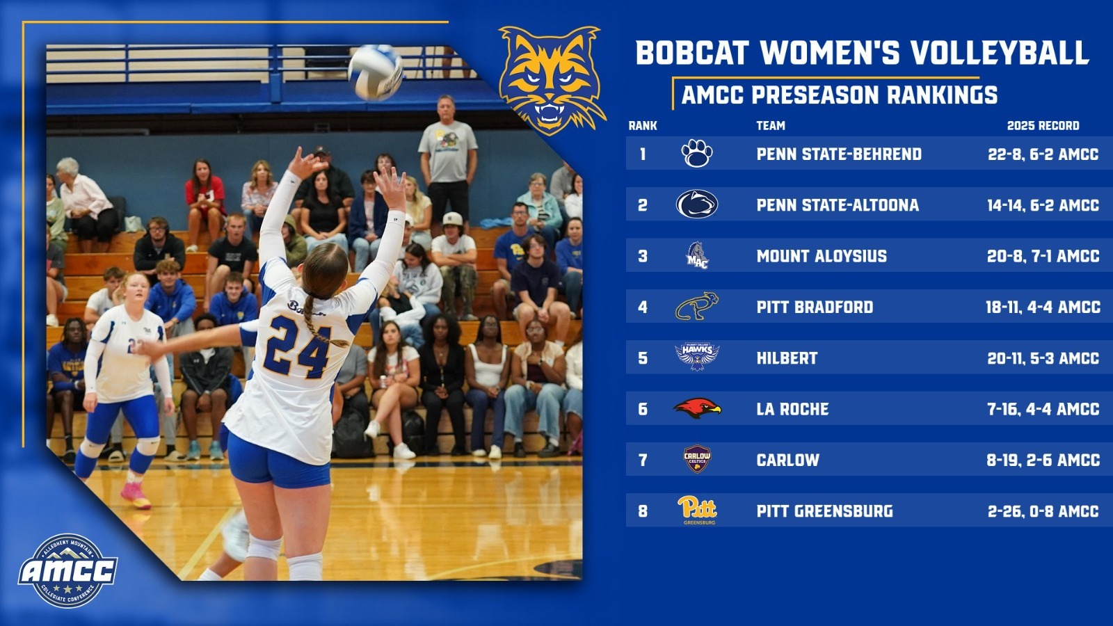 vb preseason poll 2026
