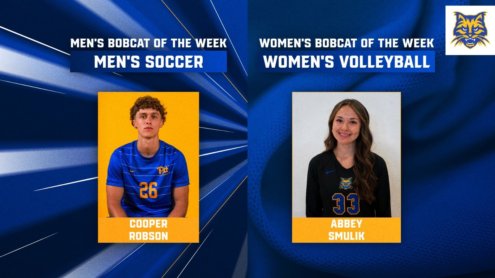 bobcat of the week 2