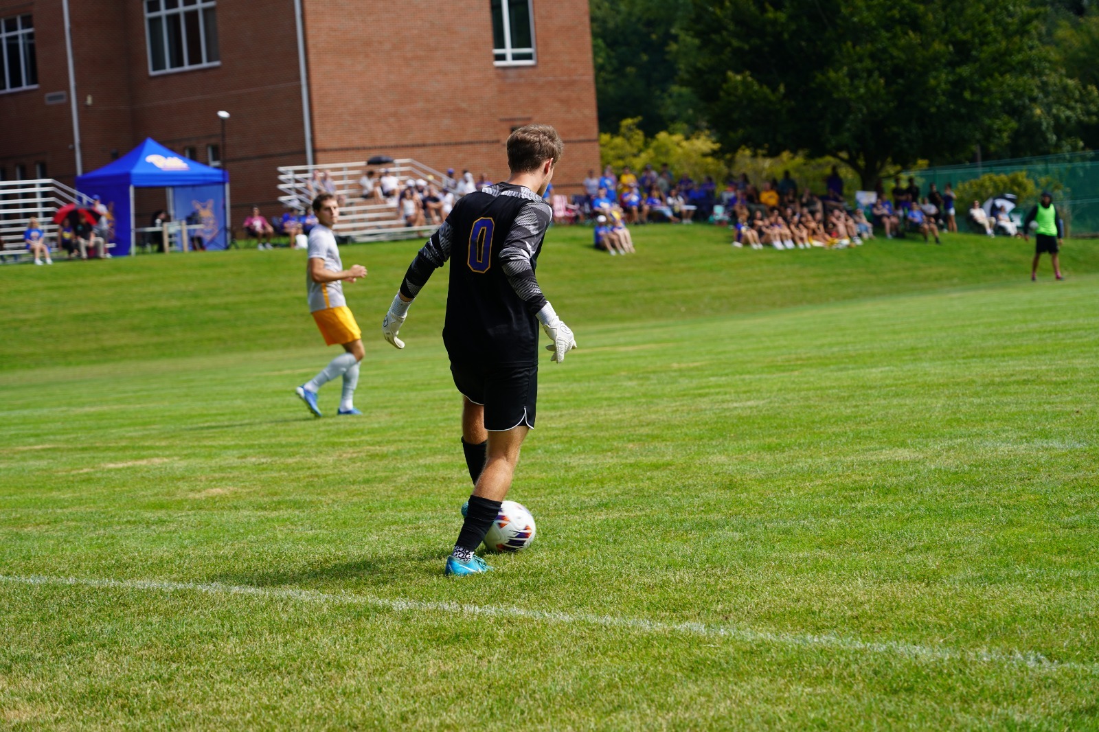 braun in goal