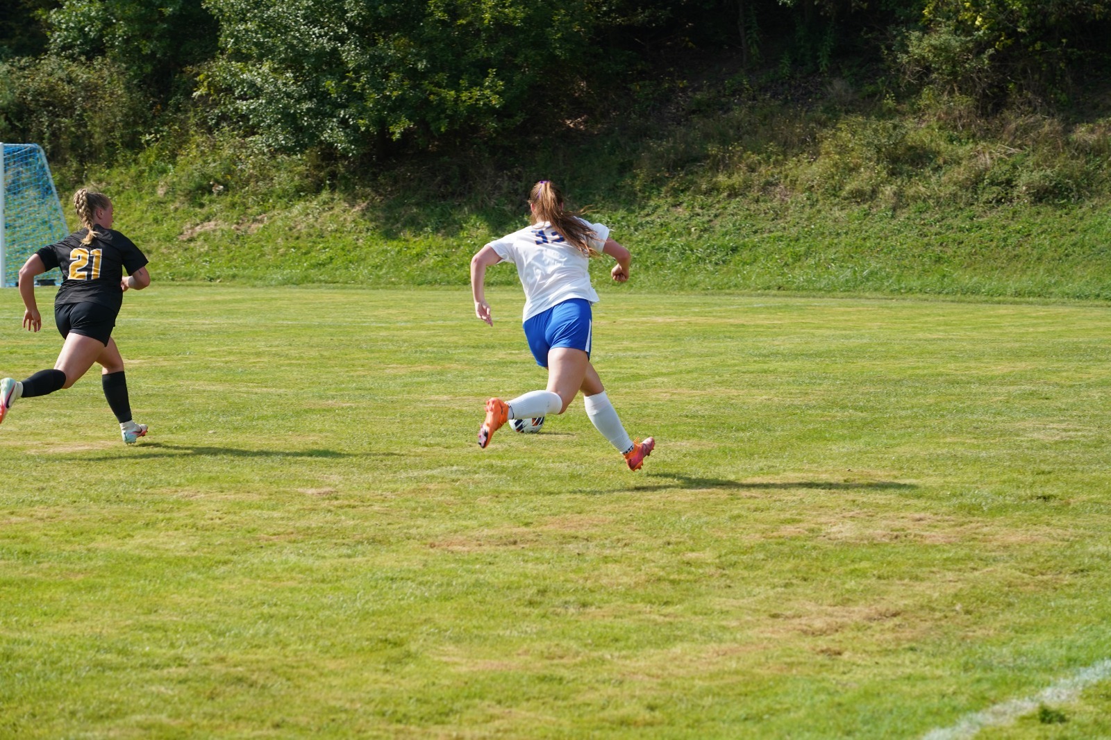 bella sideline
