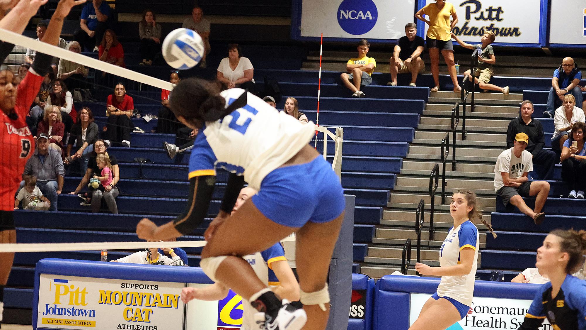 Christen Maloney Women's Volleyball University of Pittsburgh at