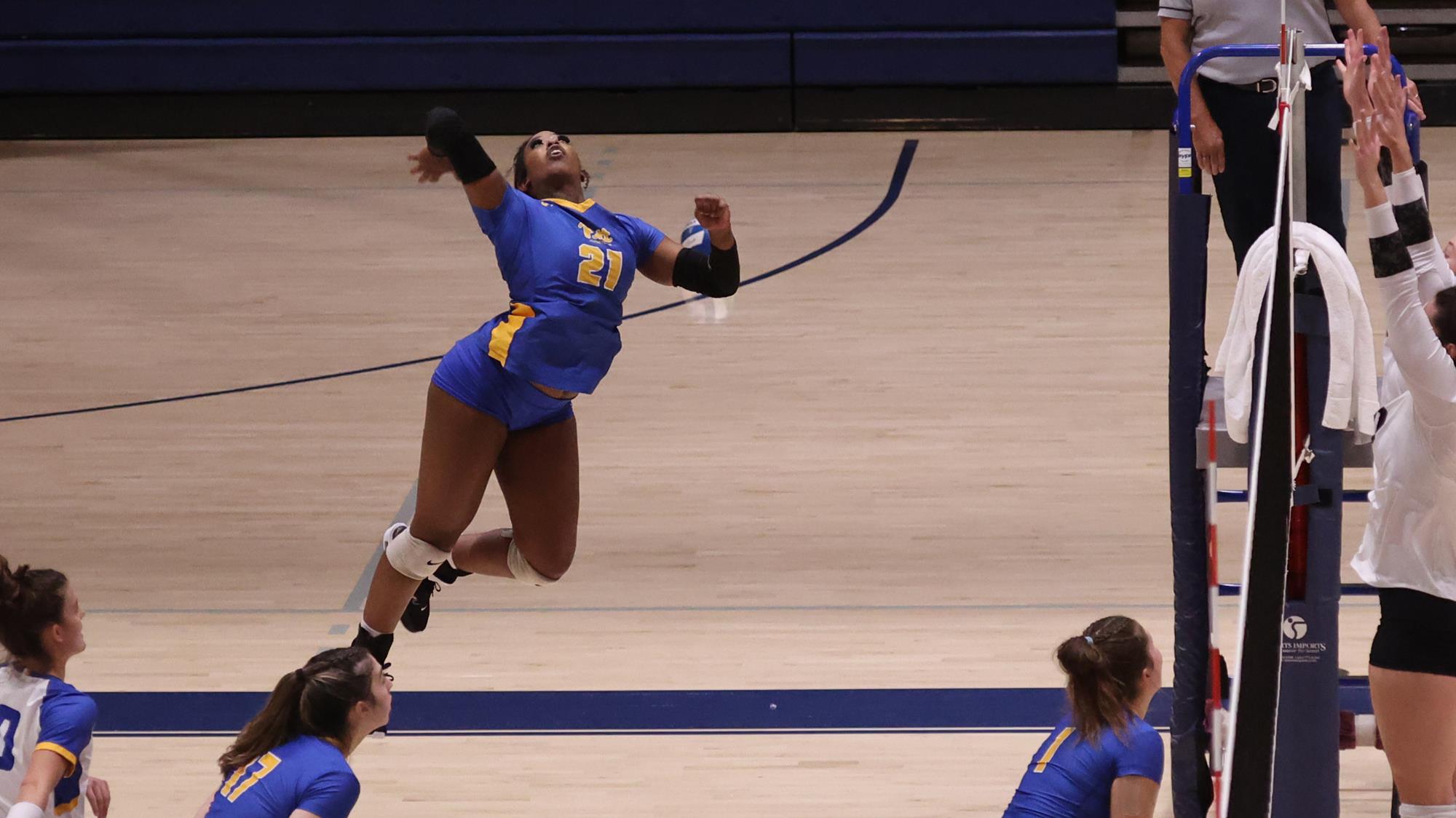 Christen Maloney Women's Volleyball University of Pittsburgh at