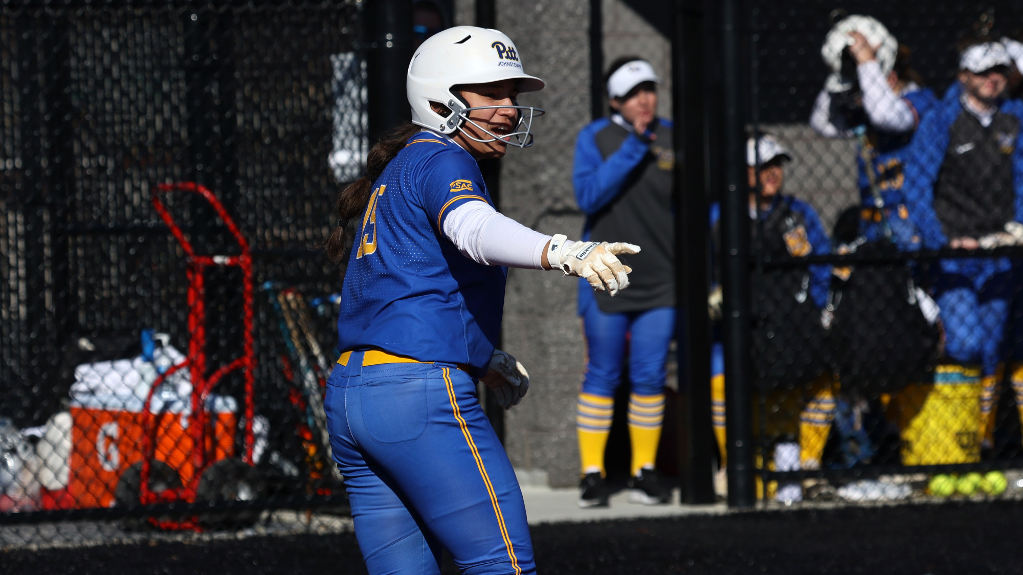 Emilia Santiago Softball University of Pittsburgh at Johnstown