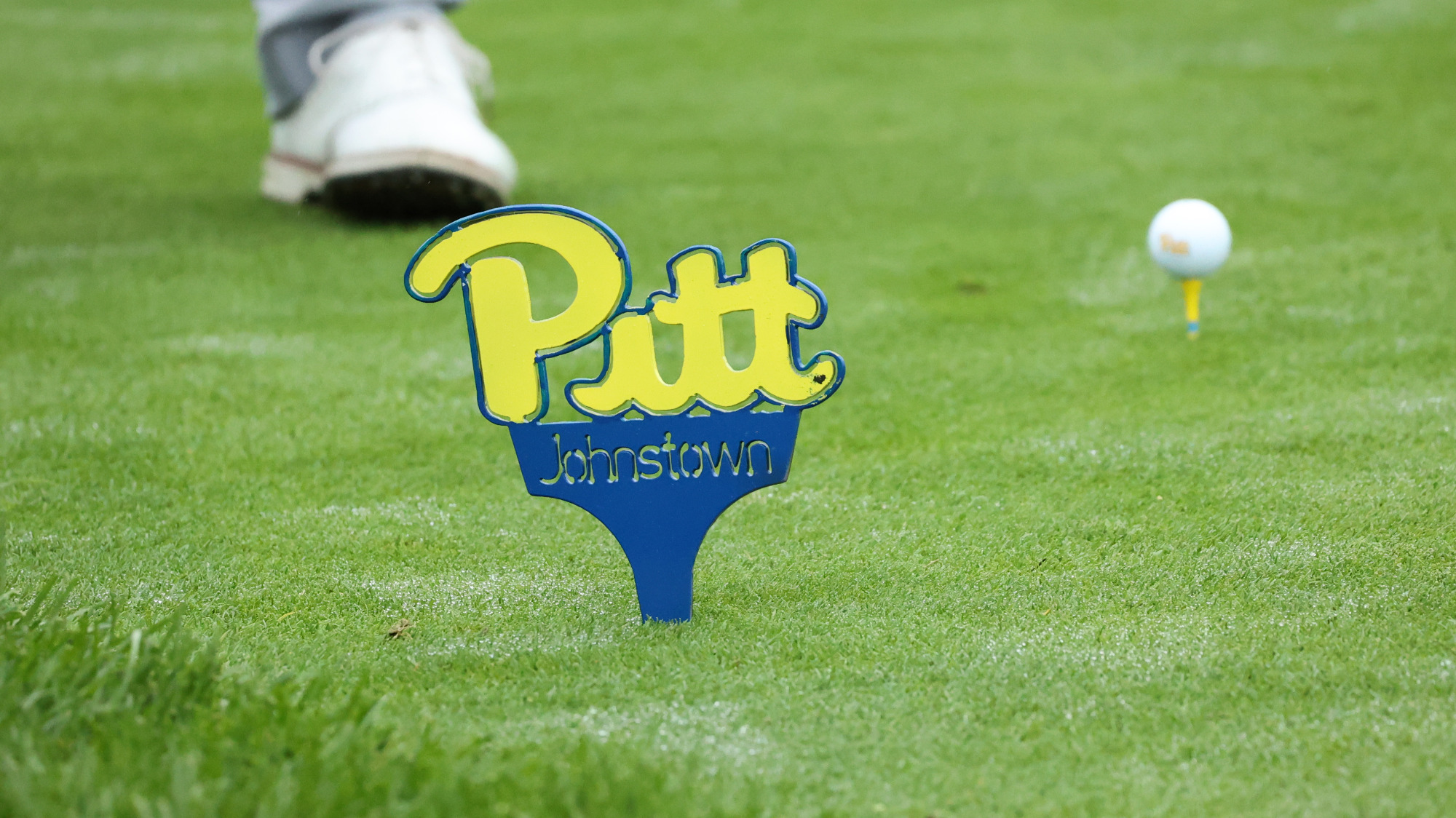 Mountain Cats remain in third after second day of PSAC Championships