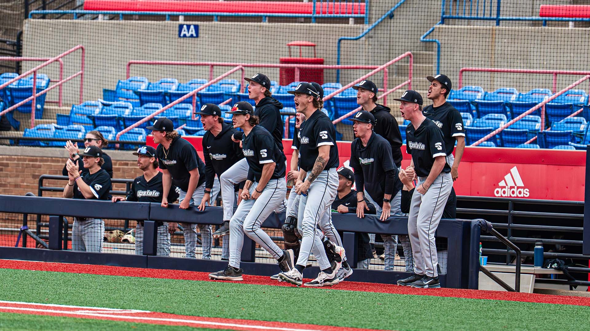 Baseball Dugout Celebration vs. South Alabama Gm 2 2026 - USA
