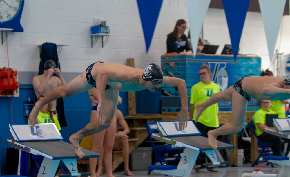 matt wheeler swimming