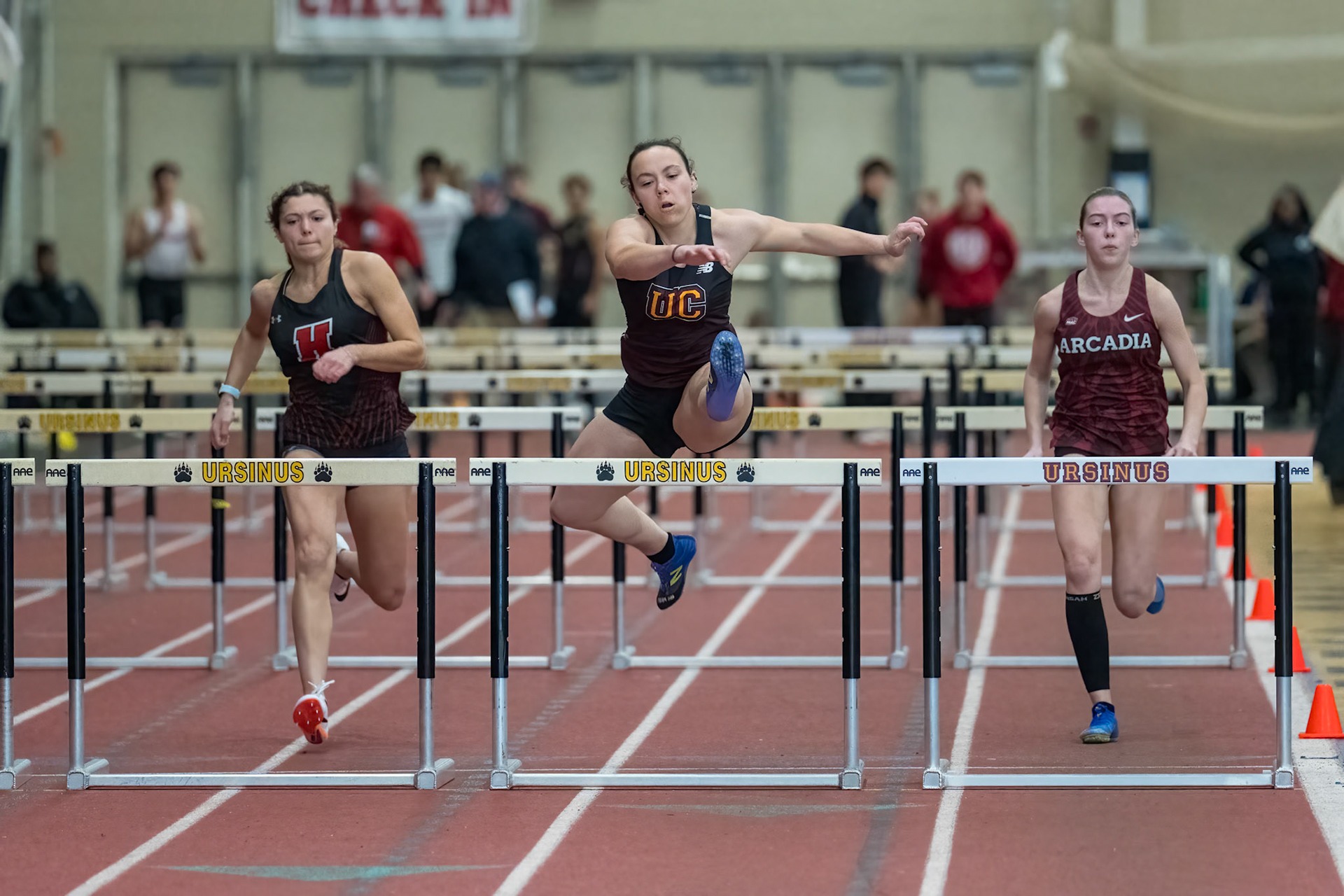 Juniper Bauroth Sherman