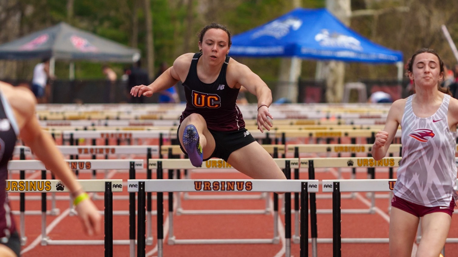 Juniper Bauroth-Sherman