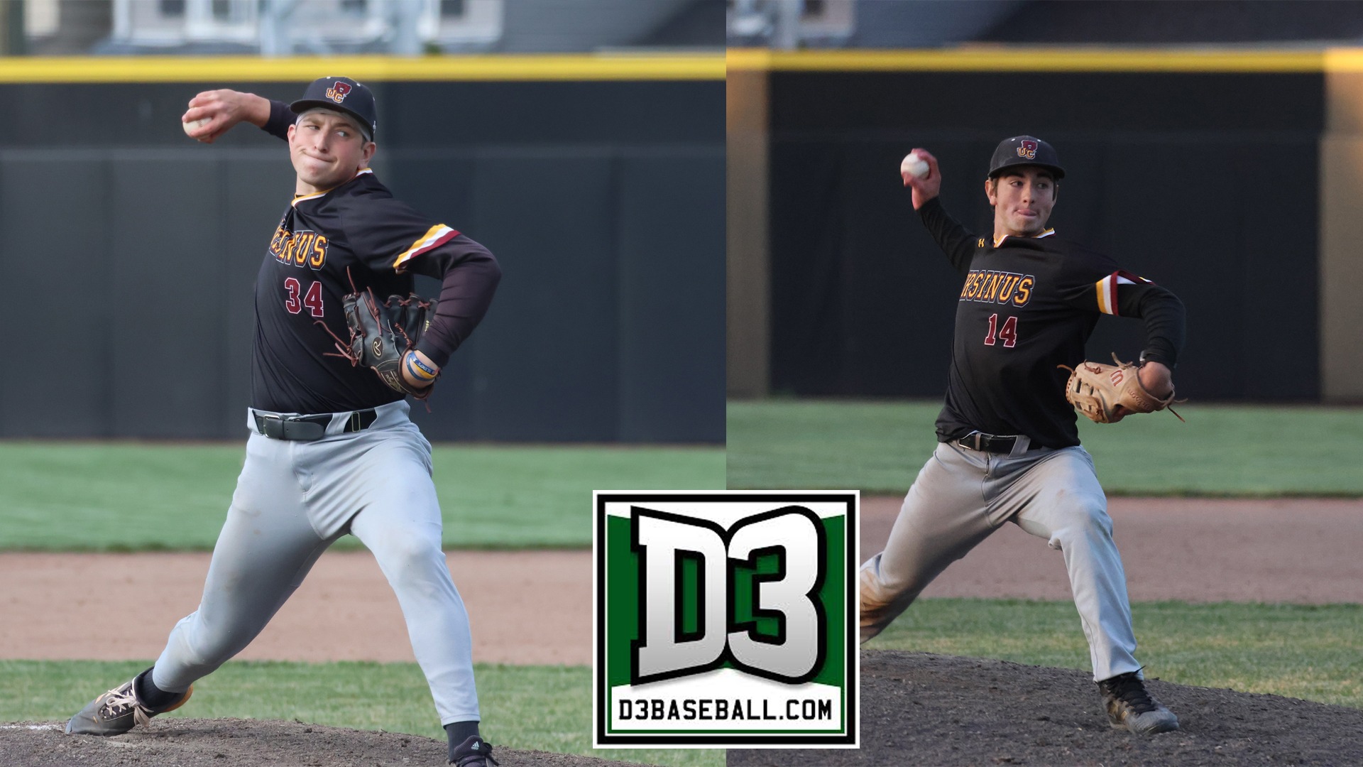 D3baseball