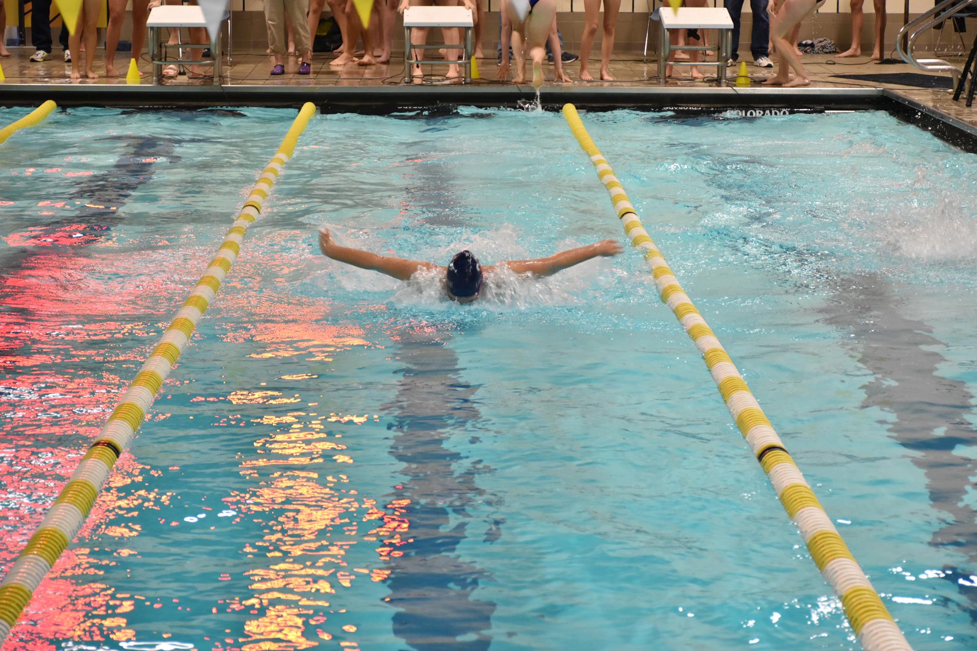 SWIM