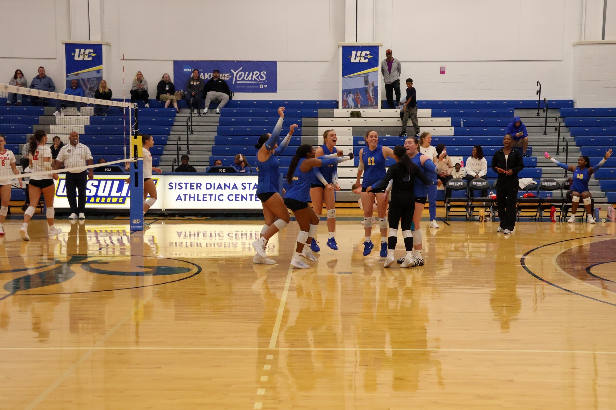 Volleyball Team Celebrating