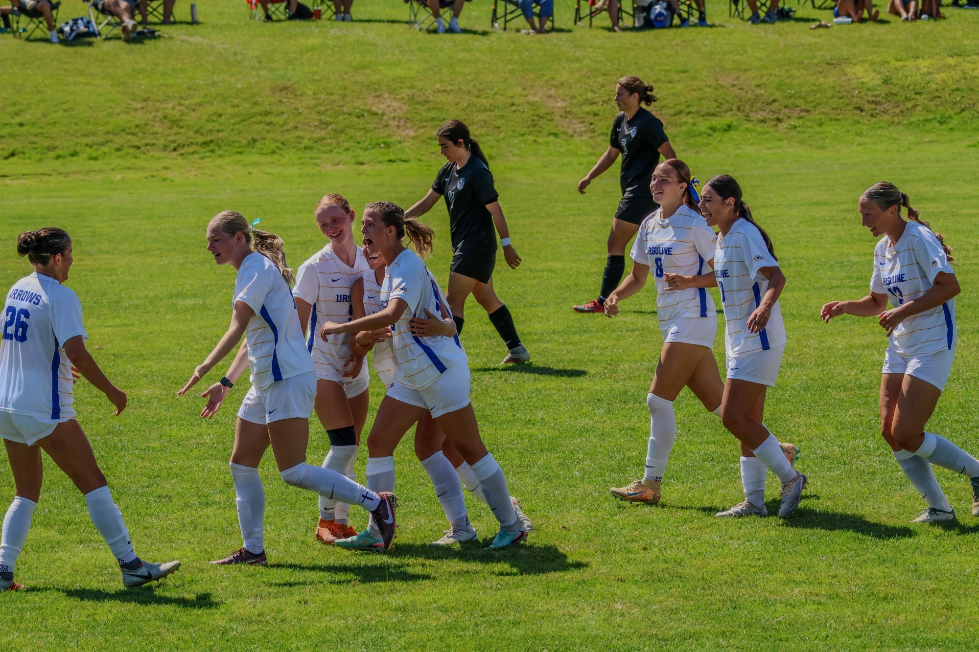 Soccer Team Celebrating After Goal