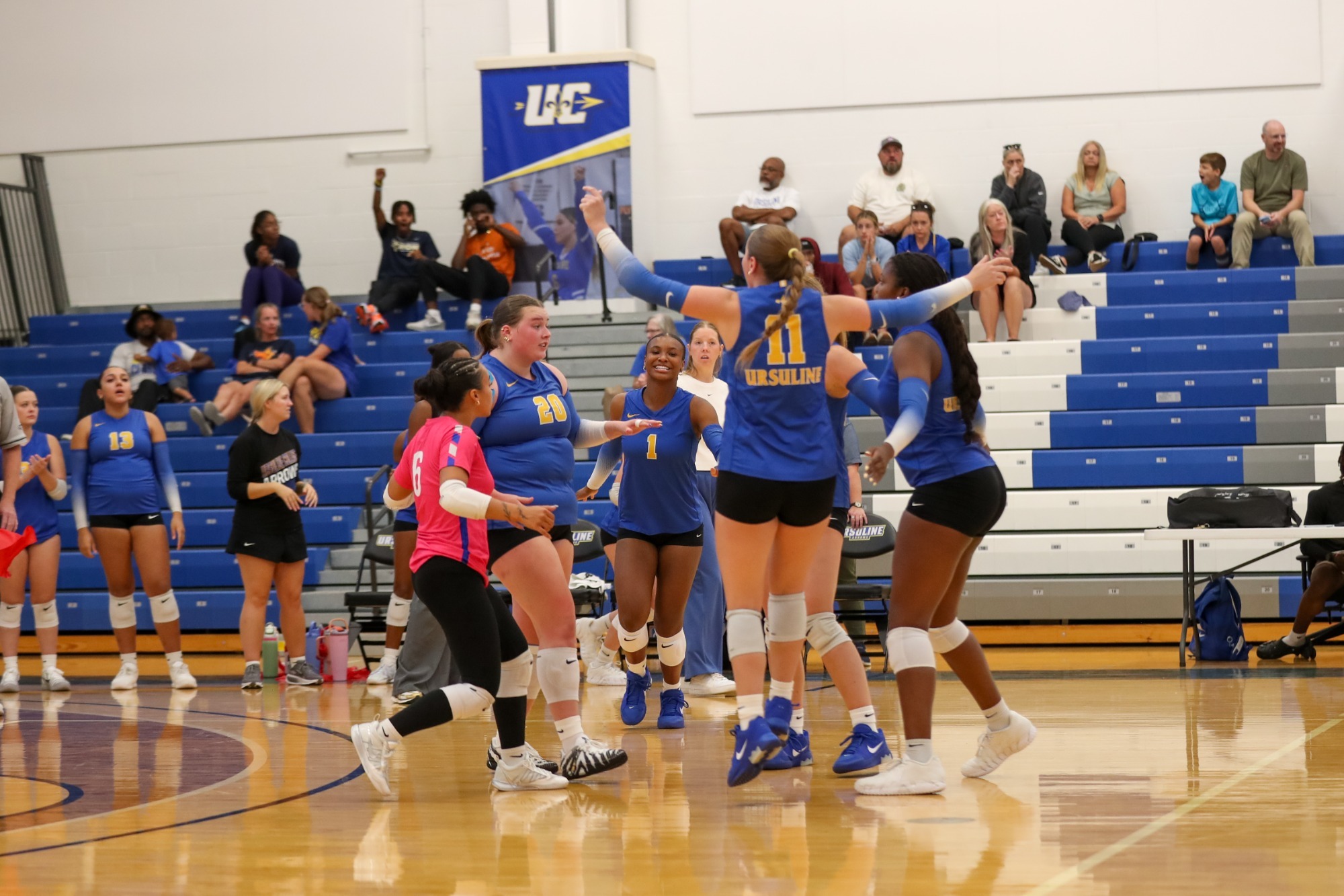 Volleyball Celebration