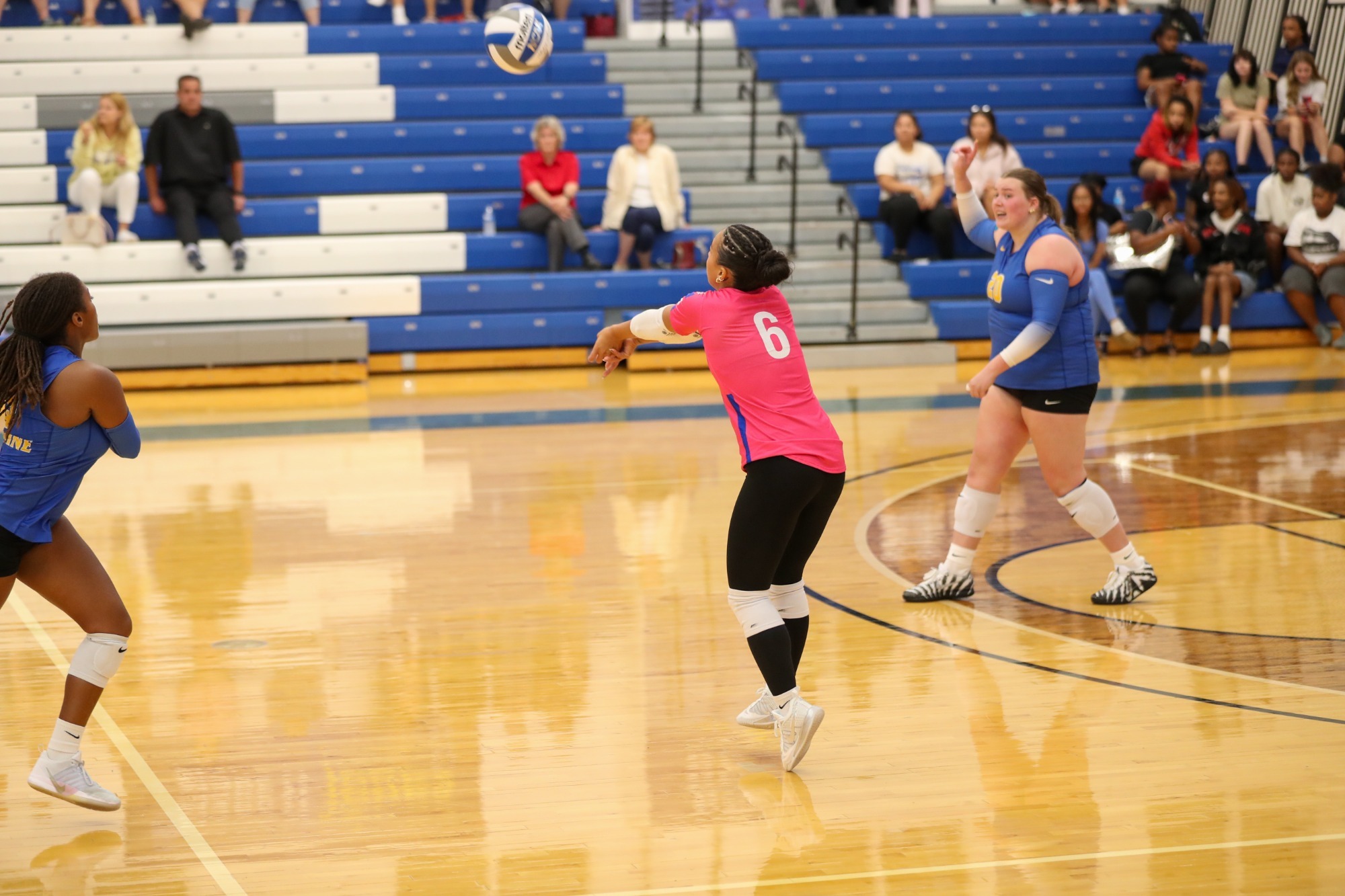 Mya Jackson Dig