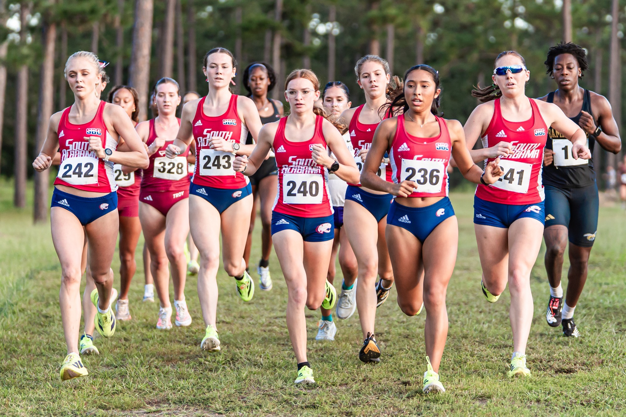 Cross Country 2026 