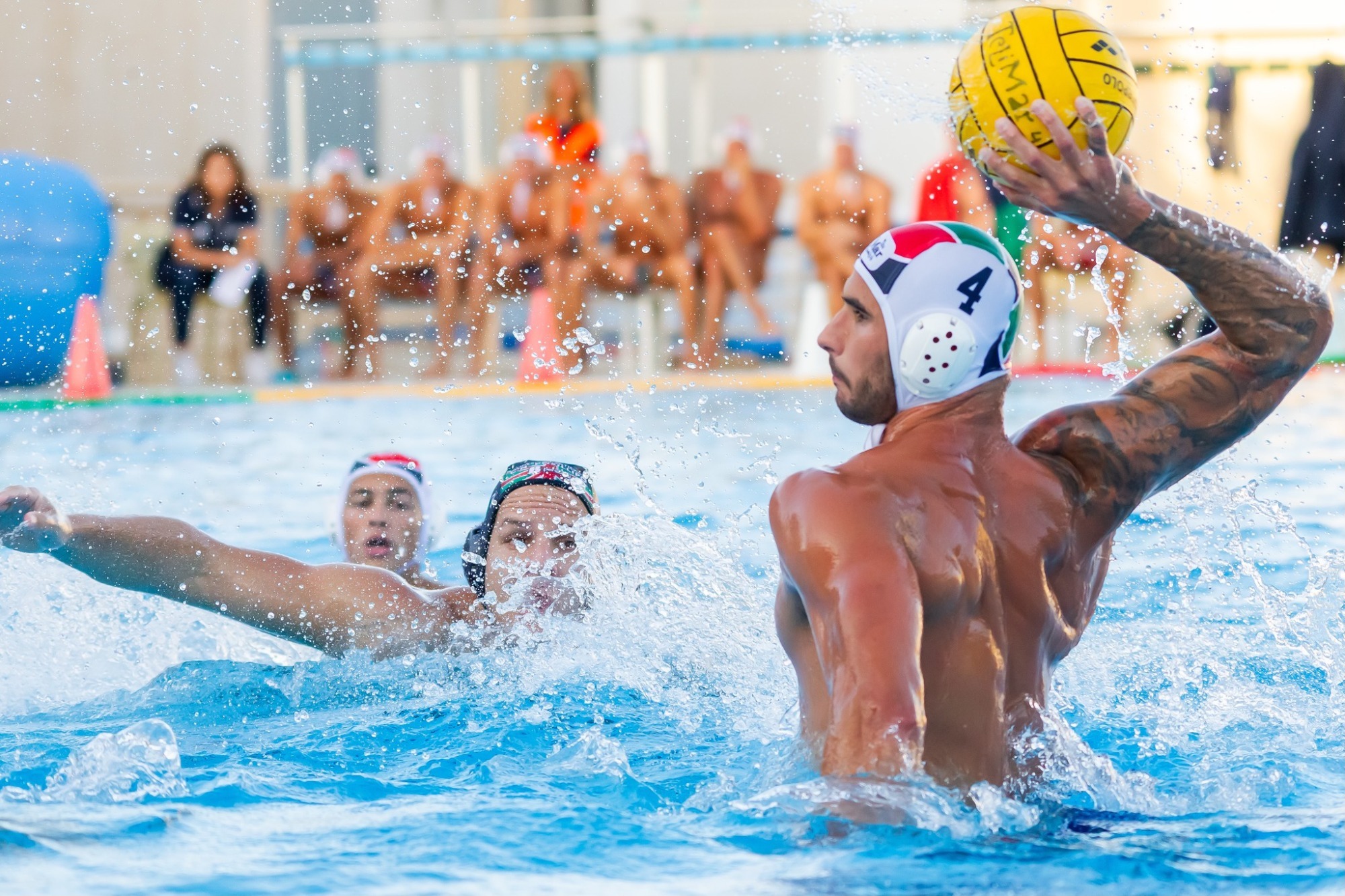 Nicolas Saveljic (TeliMar)