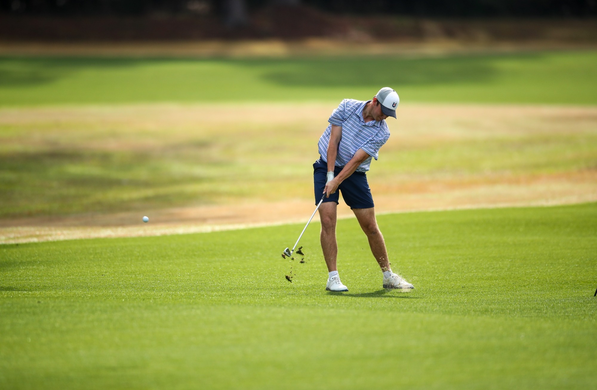 Williams_Golf_2026c