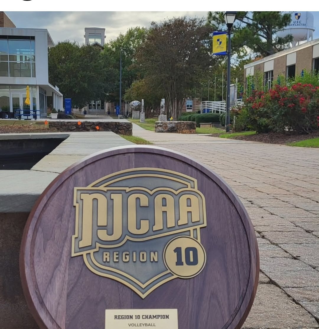 Volley Region 10 plaque trophy