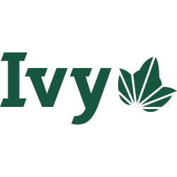 Opponent Logo